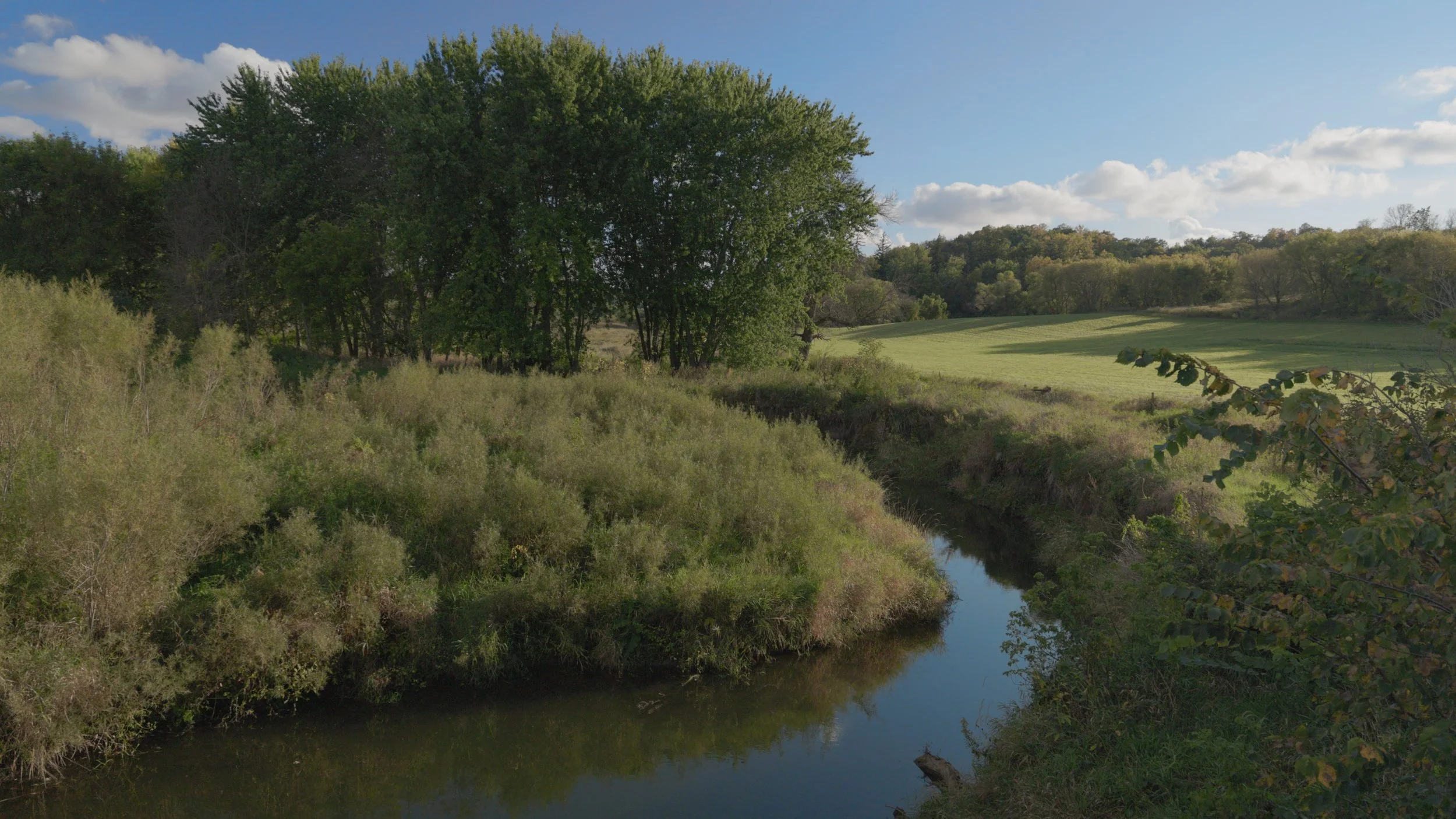 The Clean River Partners Project