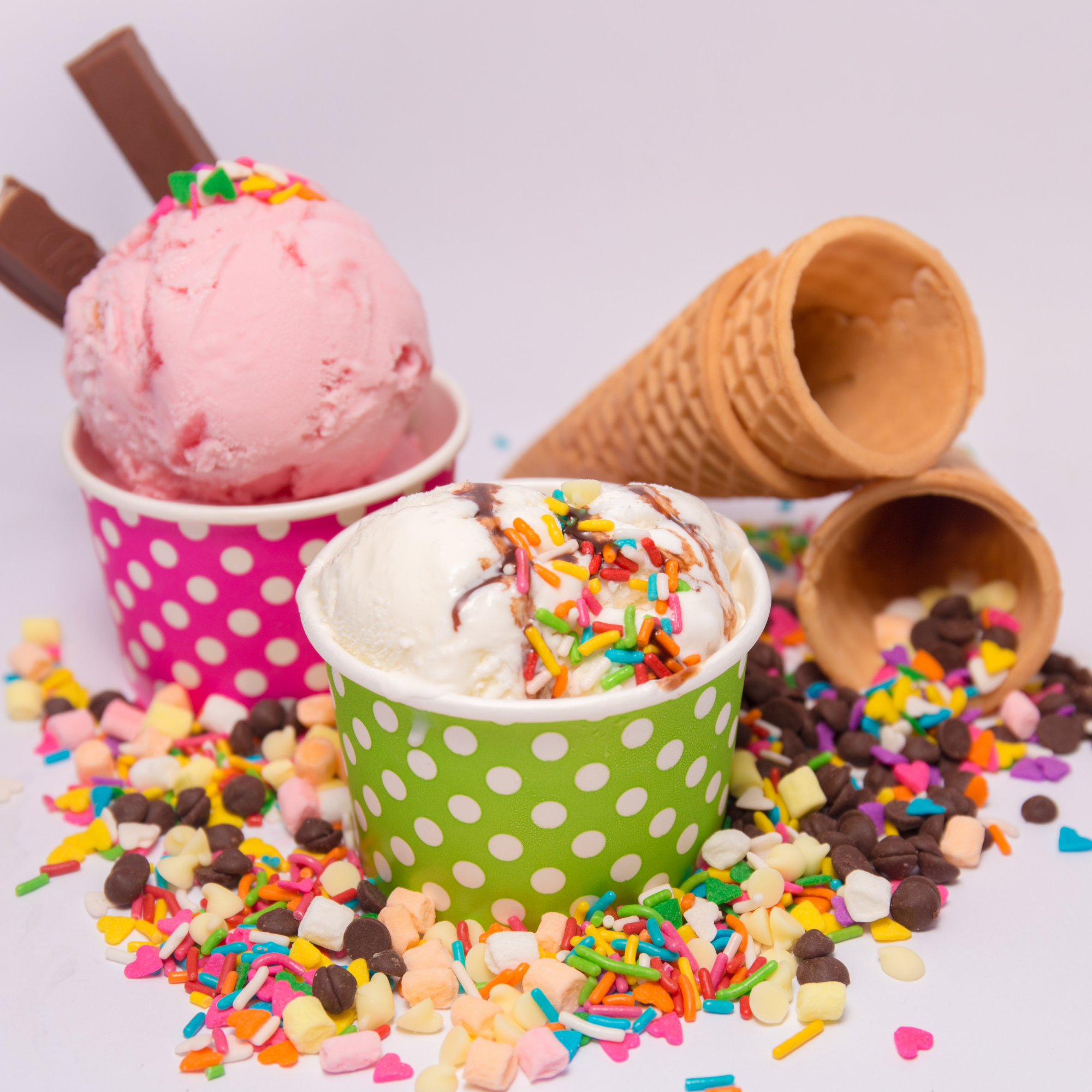 Specialty Ice Cream Shop (Sarasota, FL)