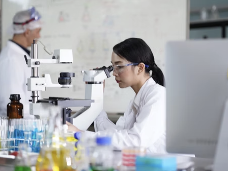 Understanding Research Schools: What It Means and Why It Matters