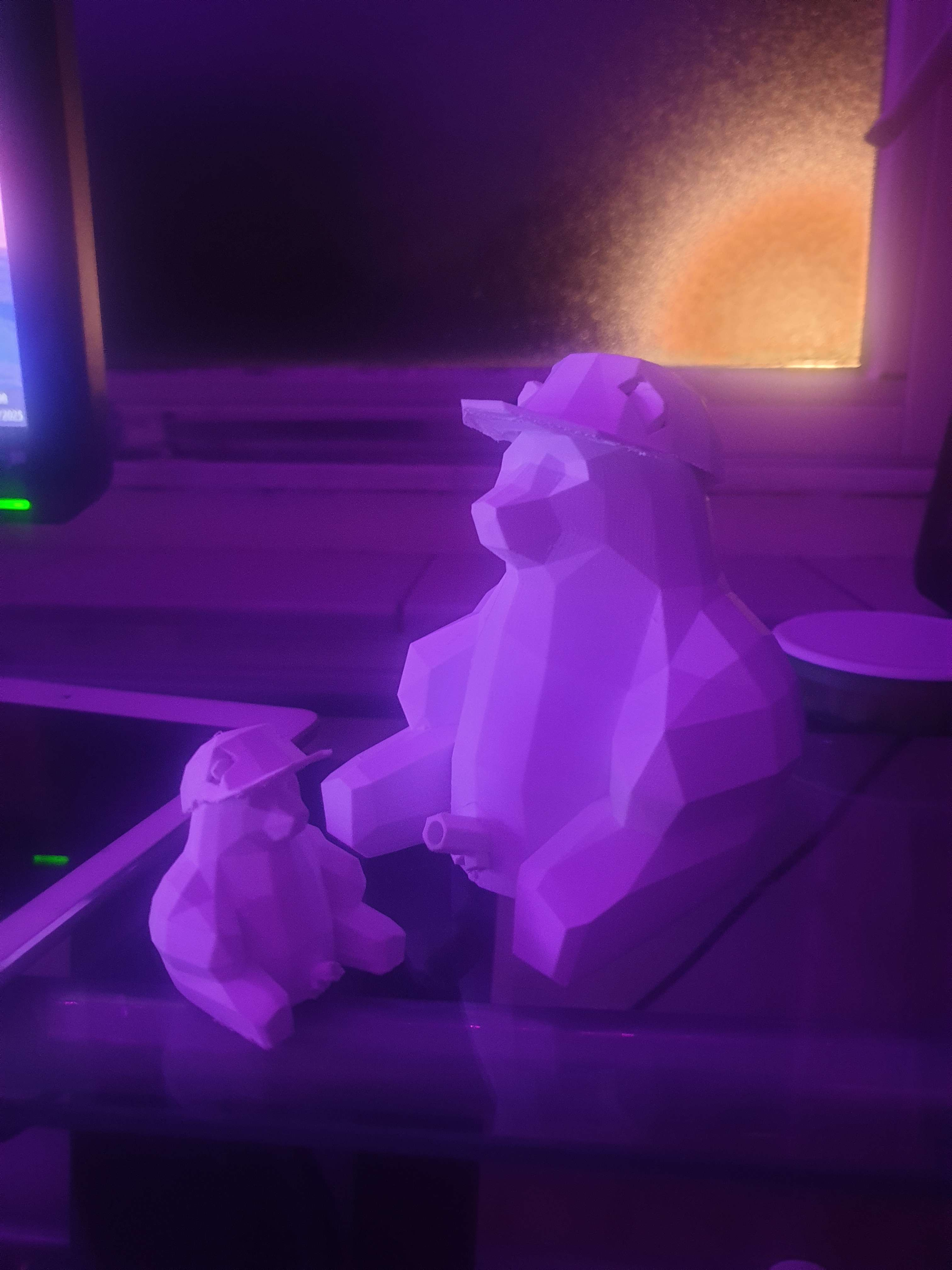 Pissing polar bear