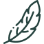Illustration of a feather in a minimalist style.