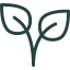 Stylized teal line drawing of a plant sprout.