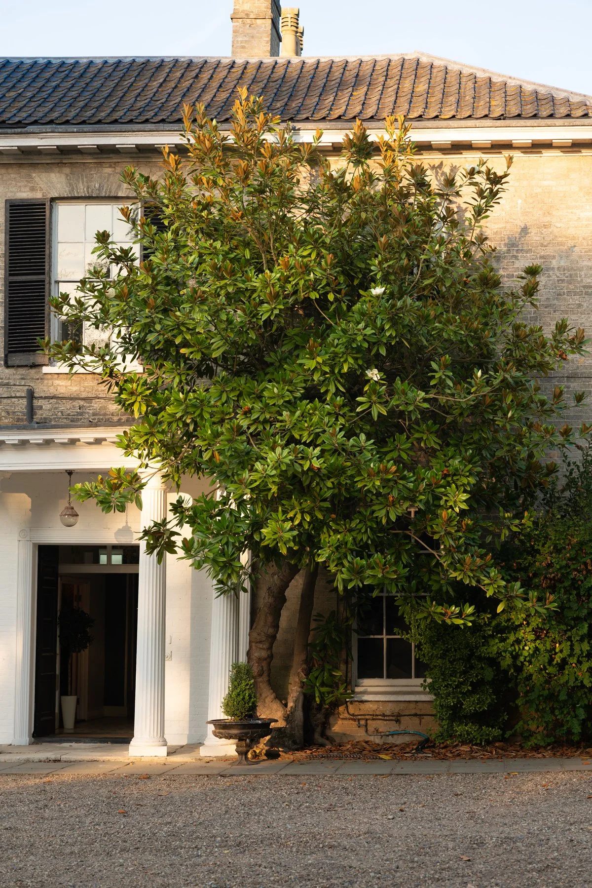 Front of a house with a large tree in the yard, white exterior walls, black shutters, and an entrance with white columns and a black door.
