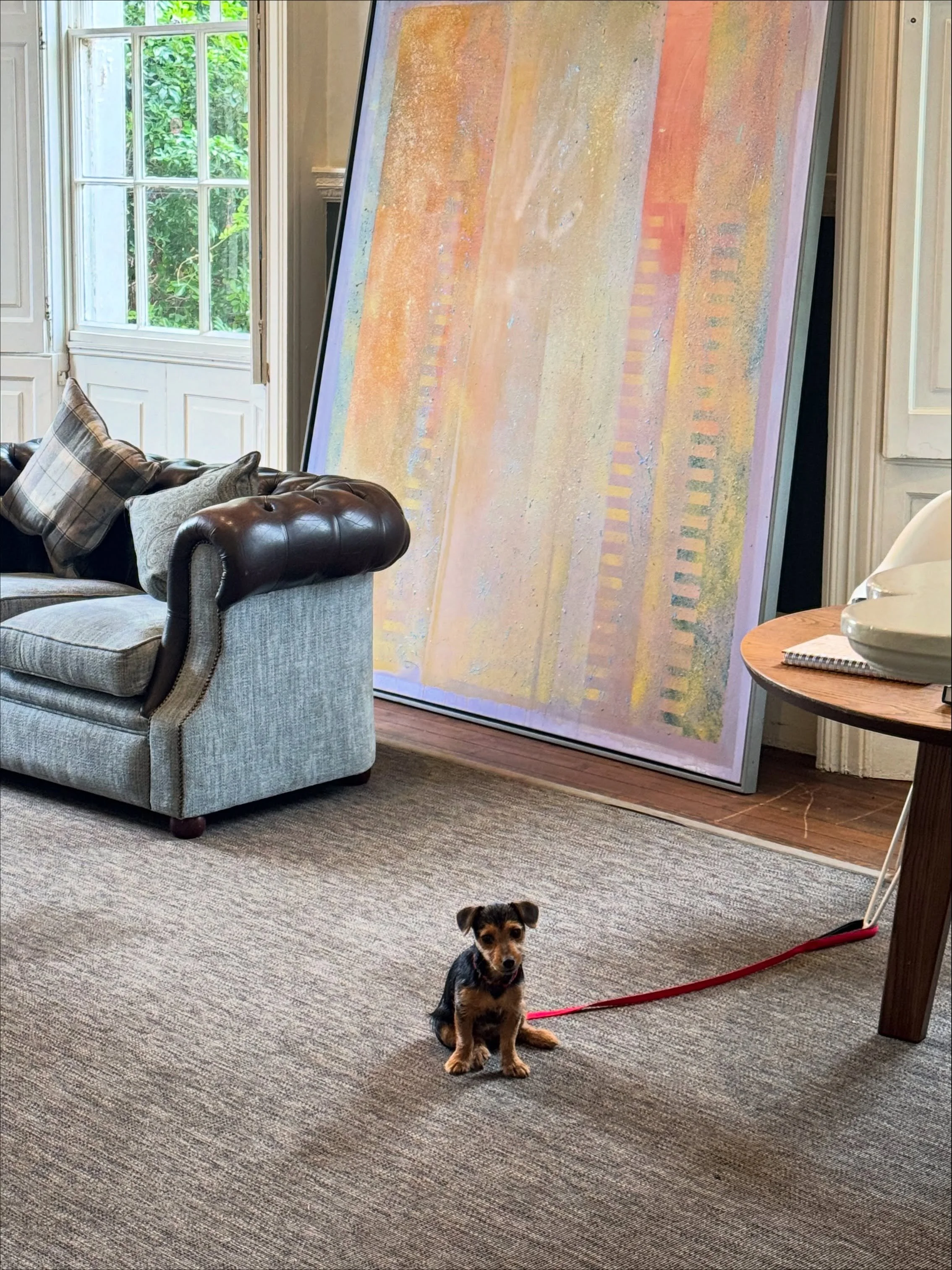 Meet Bingo, our favourite member of the grounds team at Caistor Hall. Sorry Rob 😉