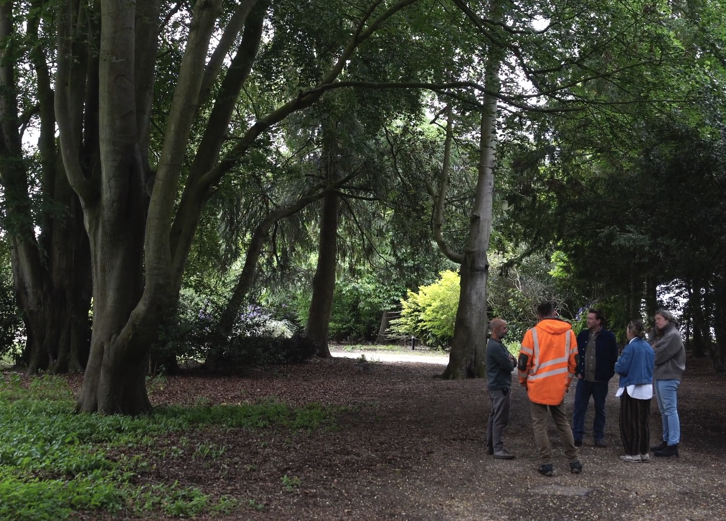 A group of people, some wearing orange safety vests, are standing and talking under tall trees in a park or forest.