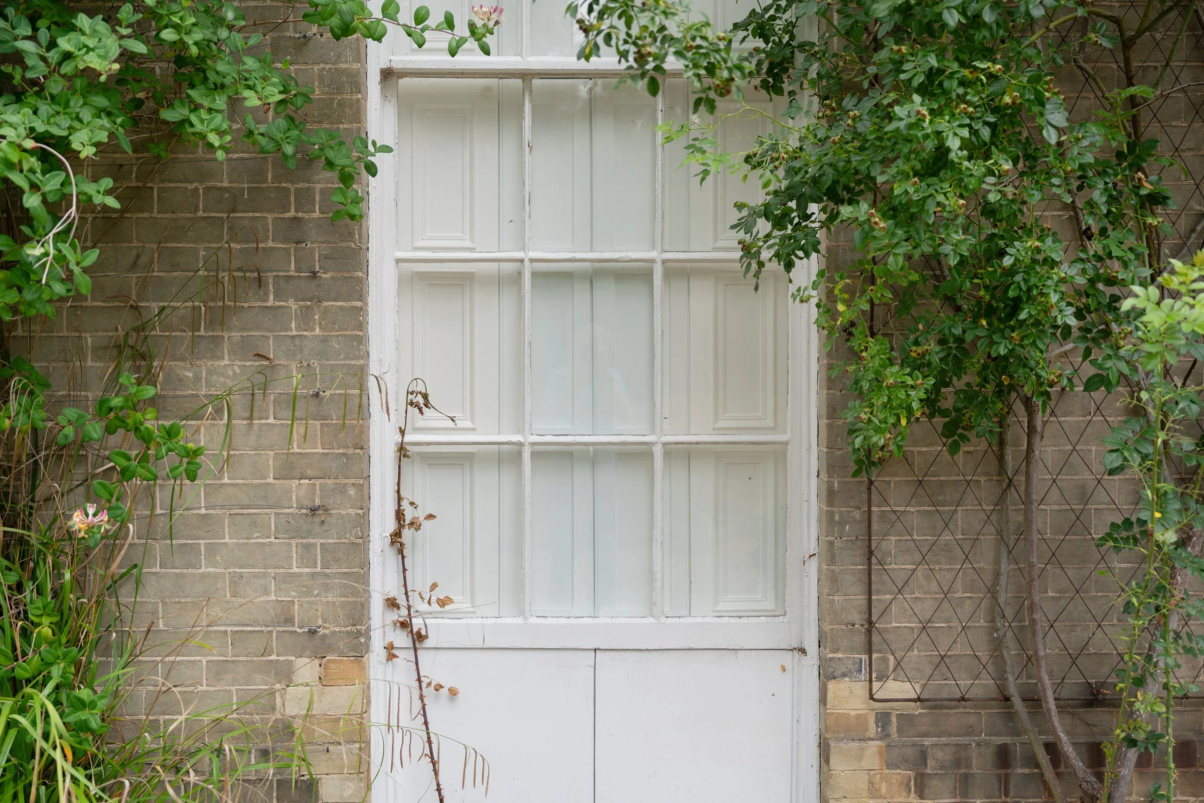 A white wooden door with multiple glass panels, flanked by green leafy bushes on both sides, set in a brick wall.