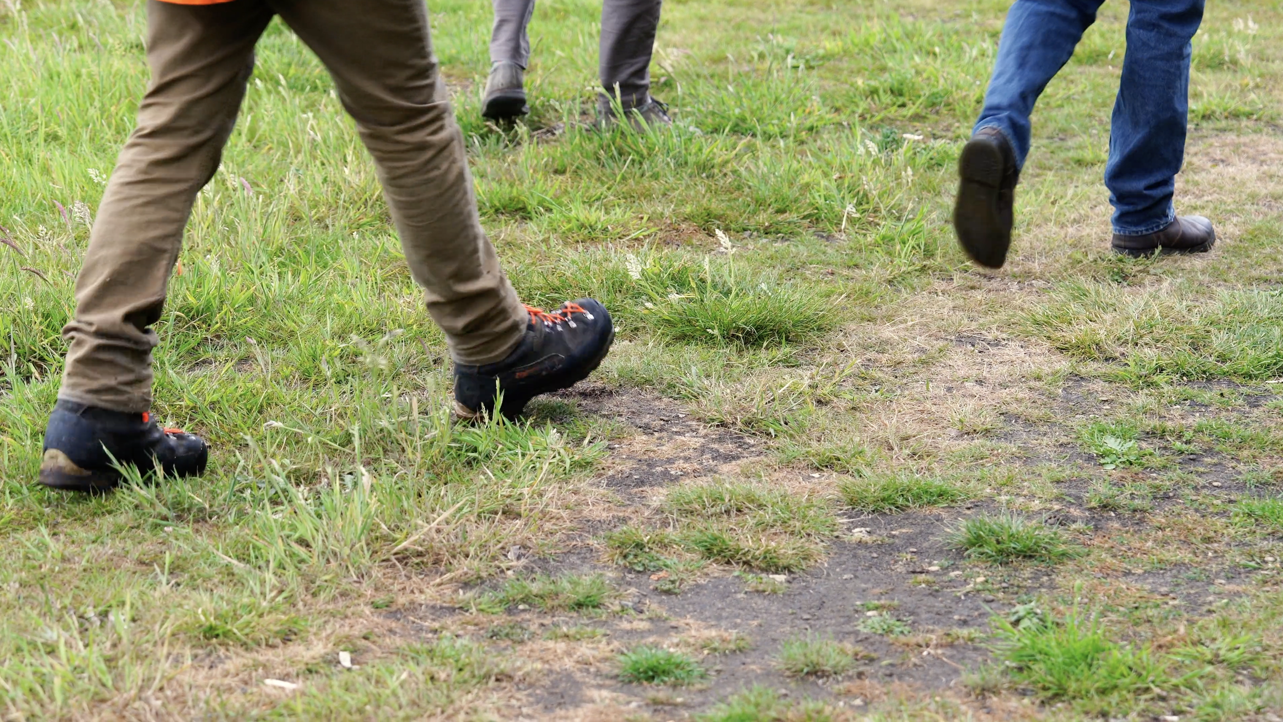 People walking on a grassy path.
