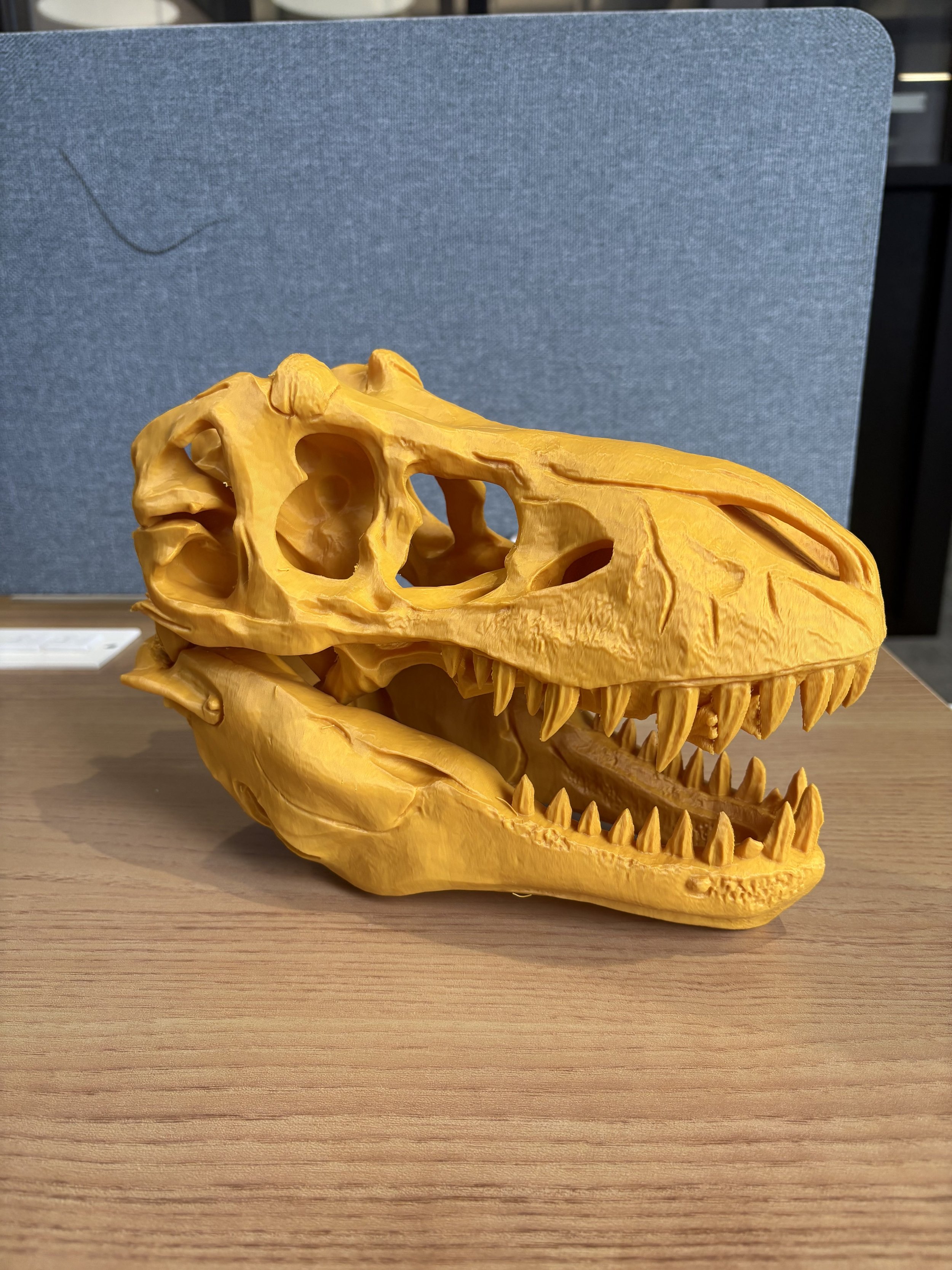 Large Custom Display Model