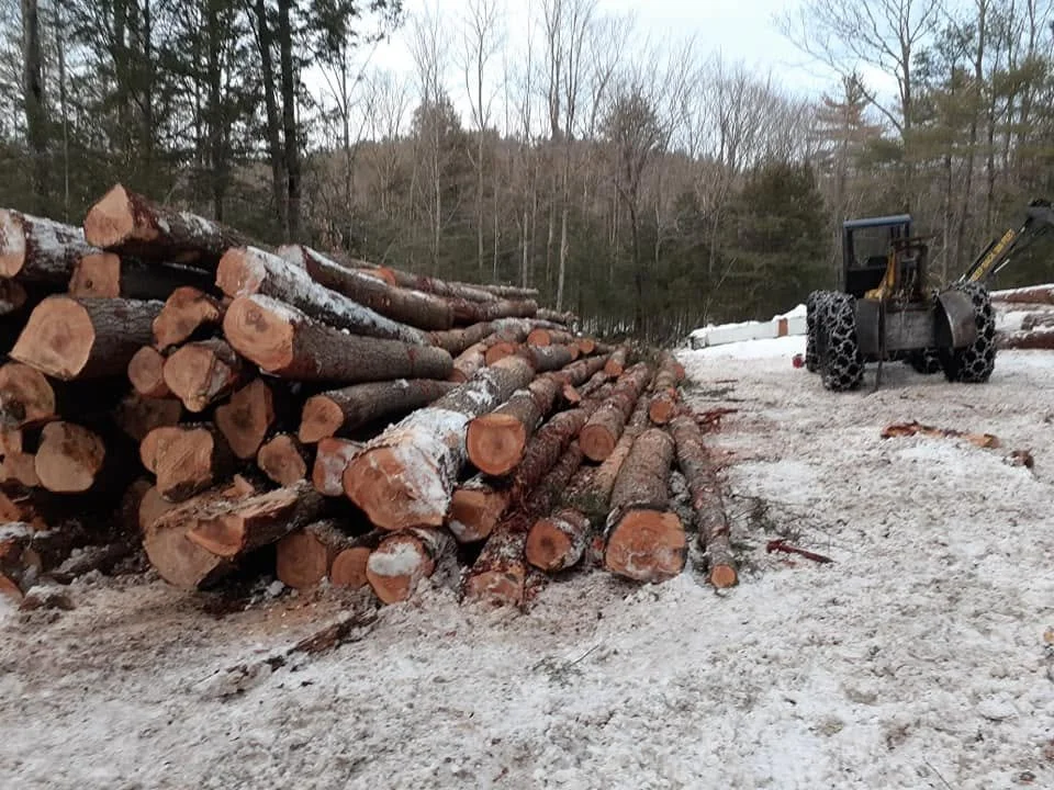 Stacked logs of cut wood on a snowy ground, with a small construction vehicle in the background near trees.