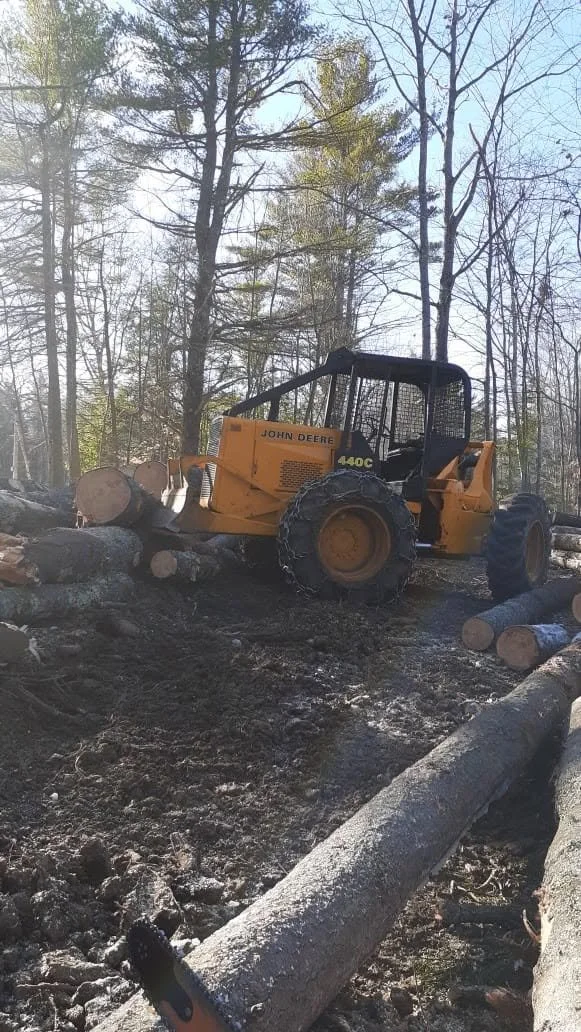 A yellow John Deere 440C skid steer loader moving logs in a wooded area with bare trees and sunlight filtering through.