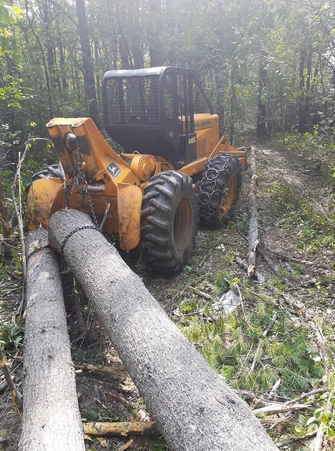 A John Deere bulldozer working in a dense forest clearing fallen trees and brush.