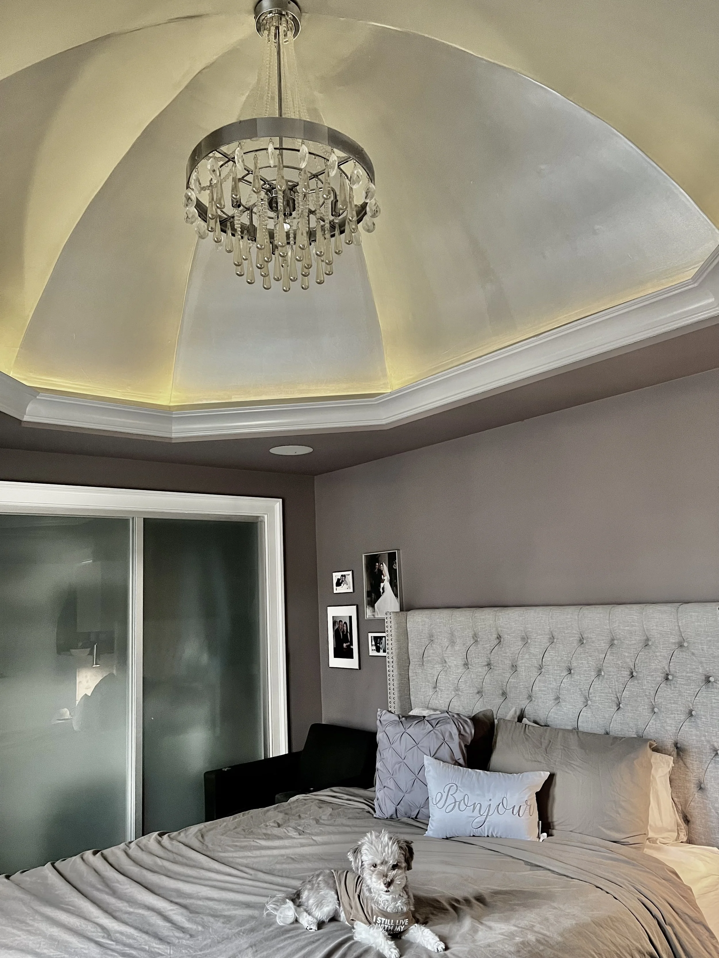 A bedroom with a large bed, a tufted headboard, and pillows, including a white one with "Bonjour" written on it. A small dog wearing a shirt that says "I still live with my" is lying on the bed. A chandelier hangs from the ceiling, and there's a fram