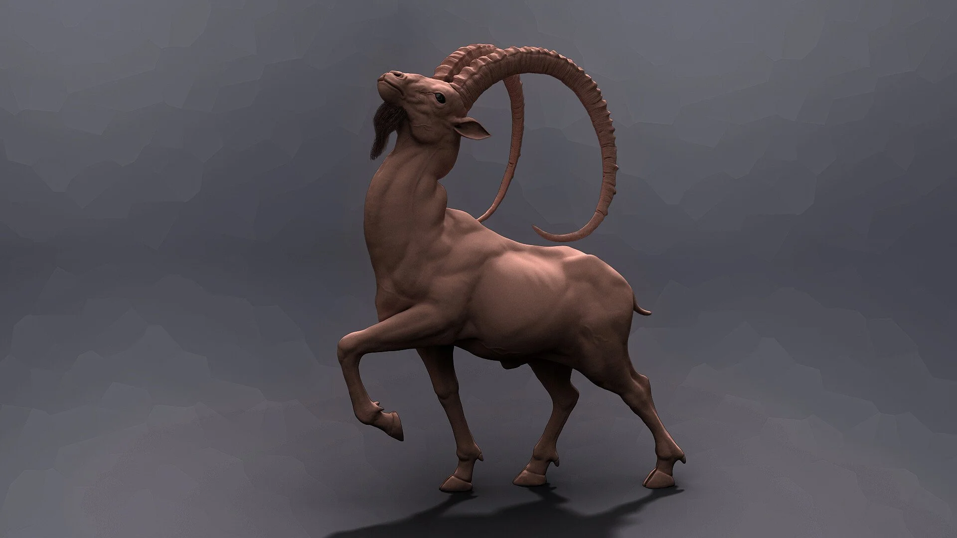 deer03.jpg