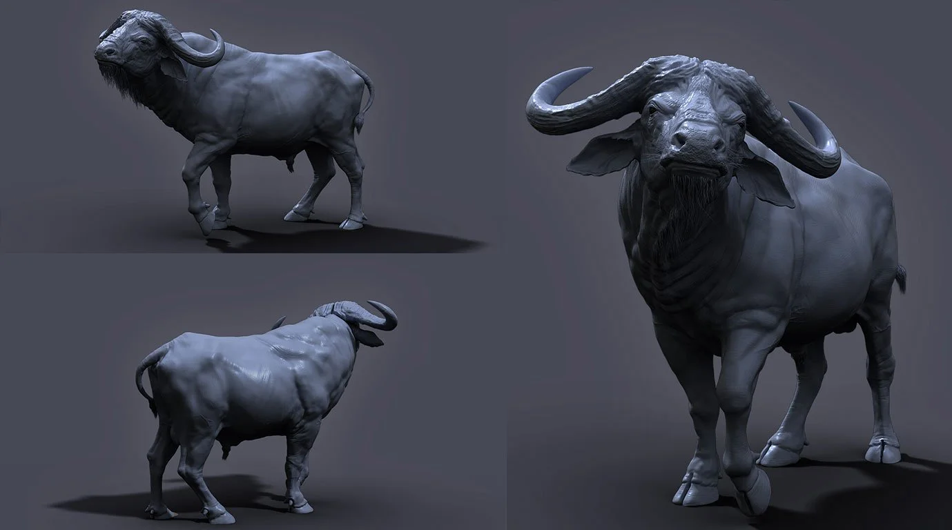 buffalo04.jpg