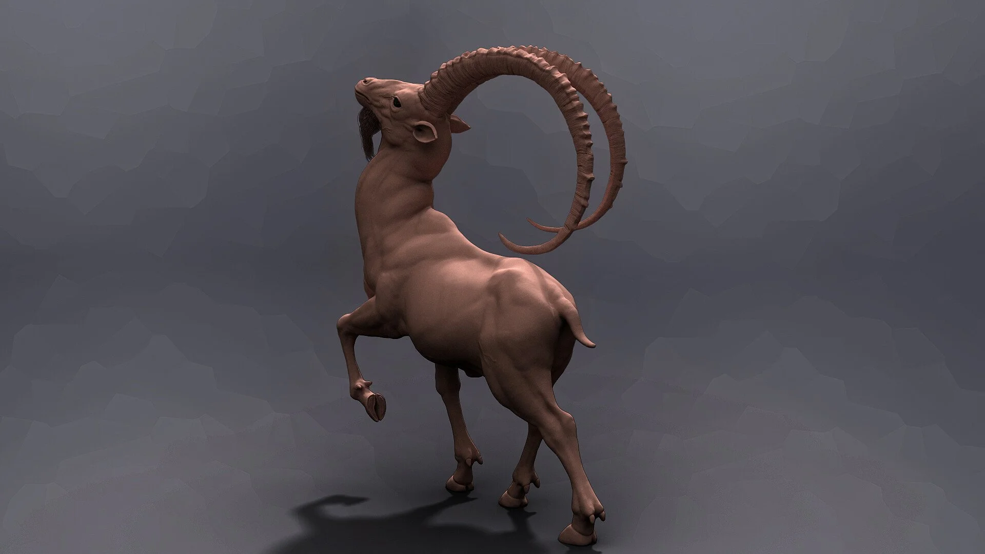 deer01.jpg