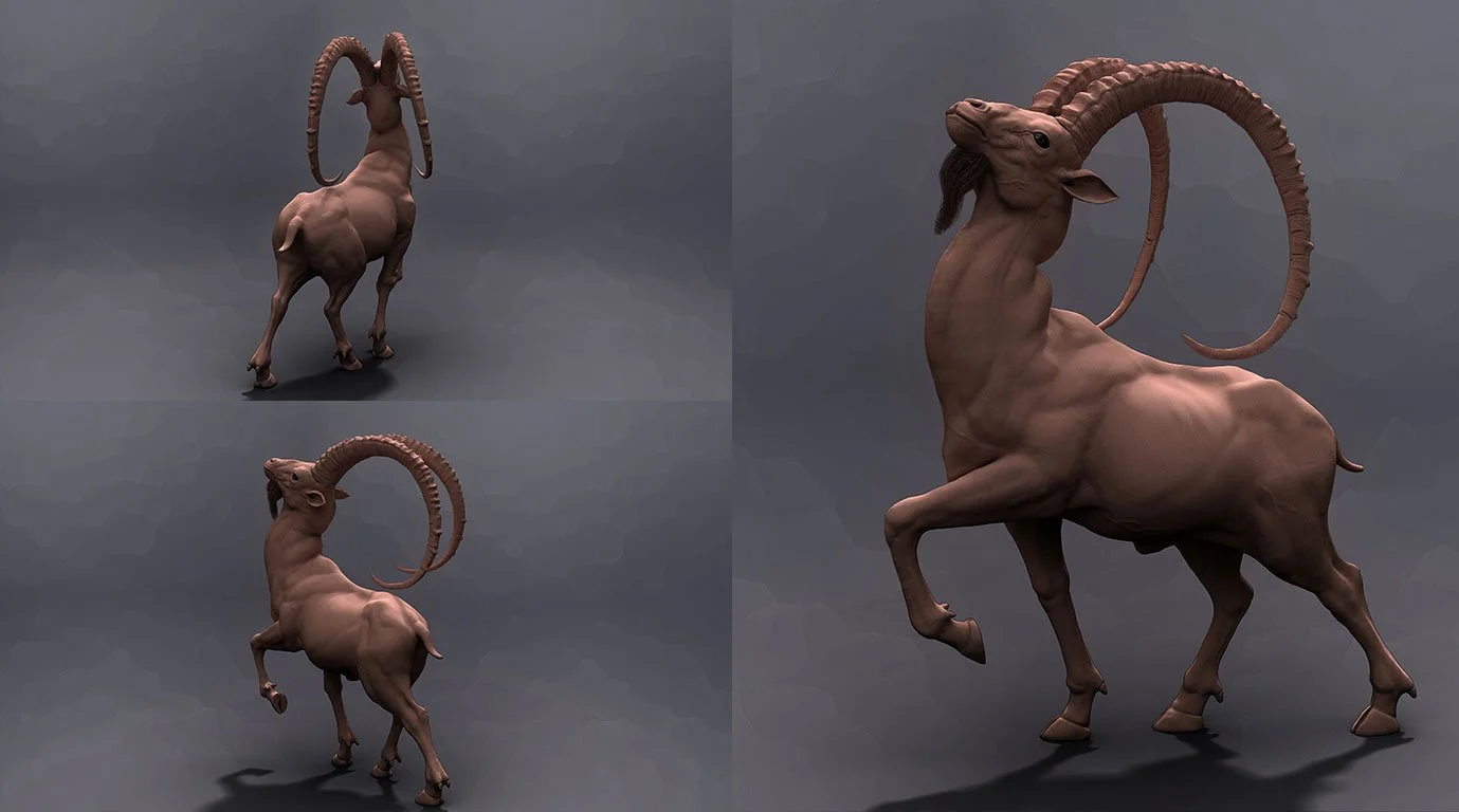deer04.jpg
