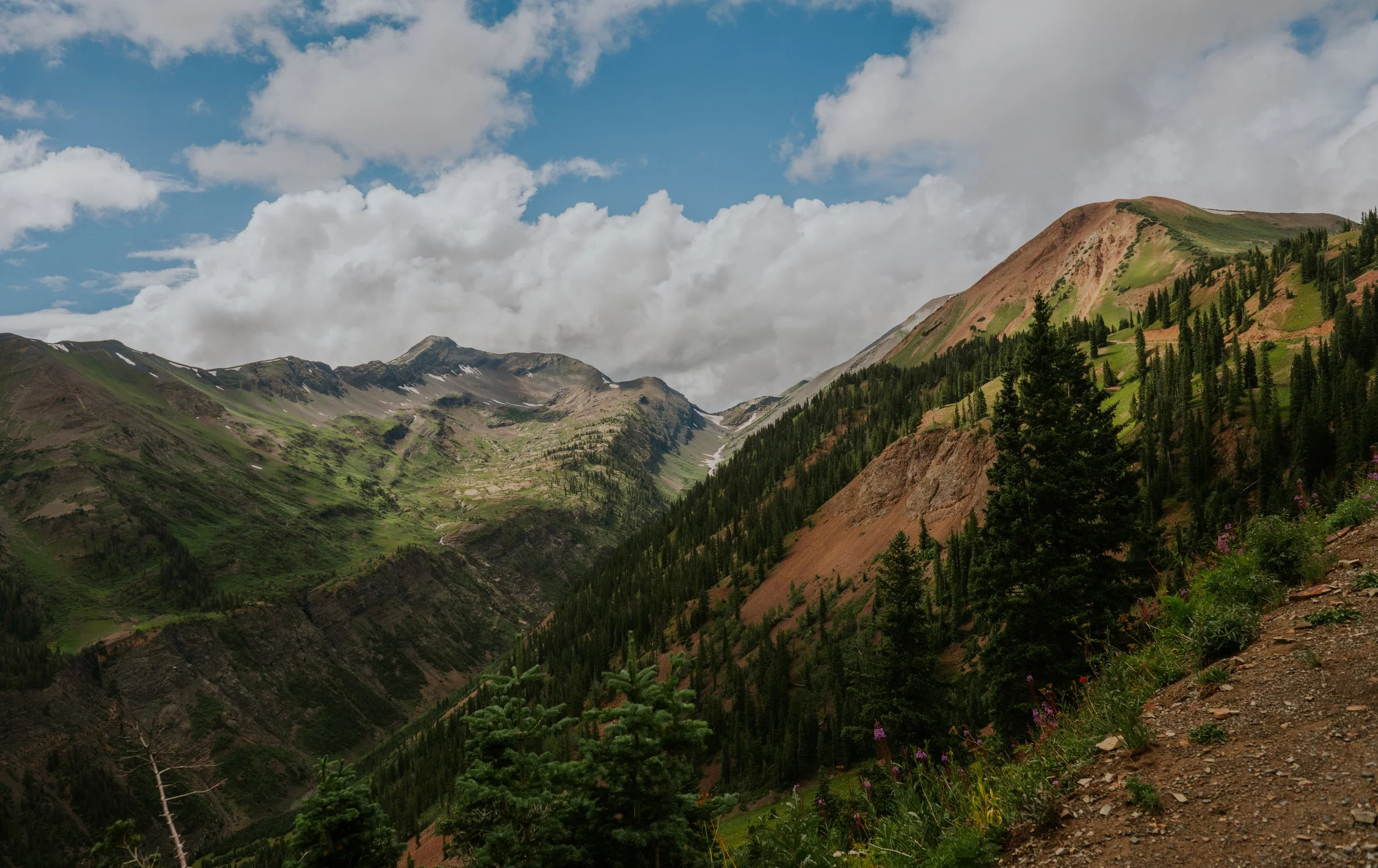 Scenic view of rugged mountain landscape with green slopes and patches of snow, covered with pine trees under a partly cloudy sky.