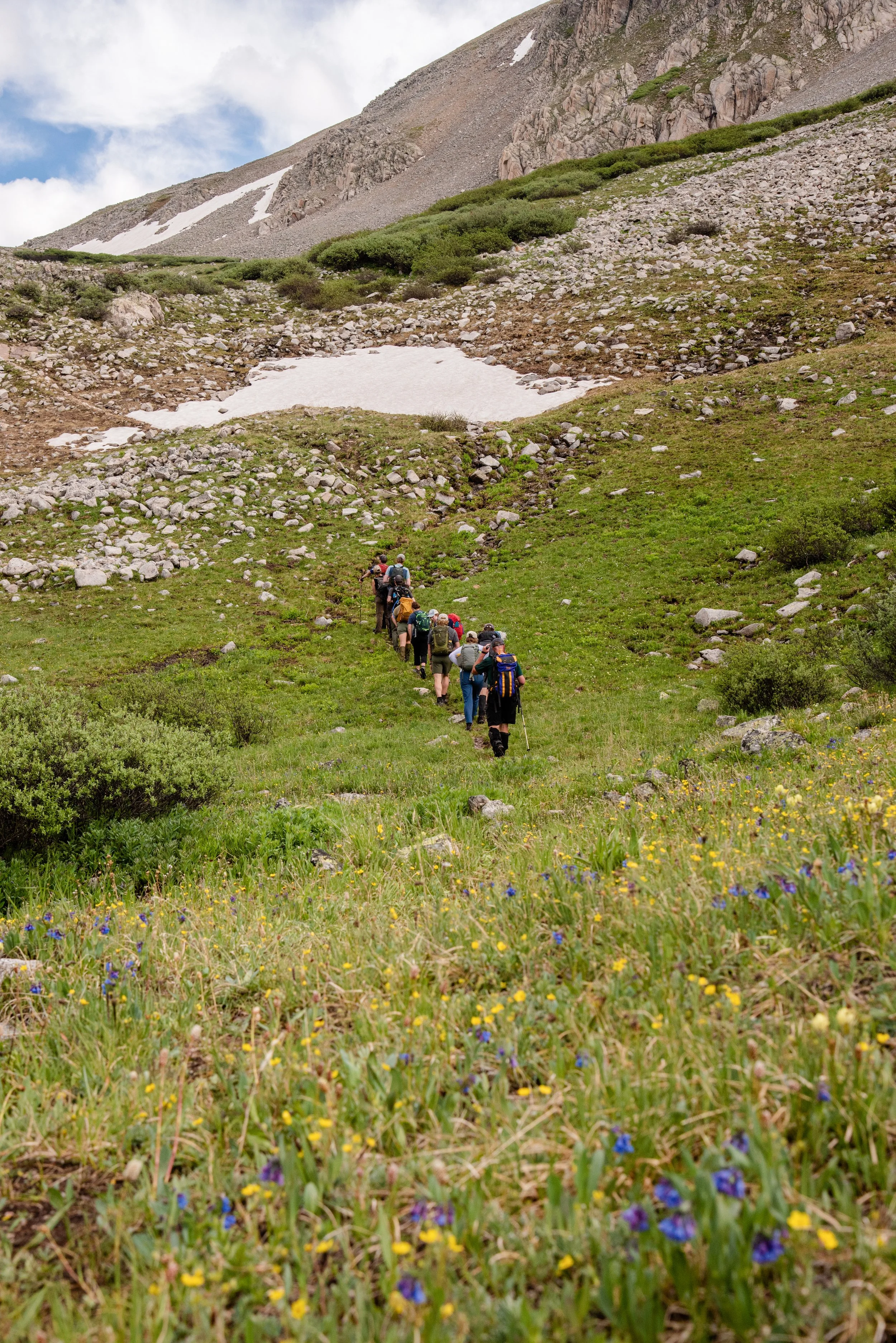 A group of hikers in outdoor gear walking single-file along a grassy mountain trail with wildflowers, rocks, green bushes, and a mountain with patches of snow in the background.