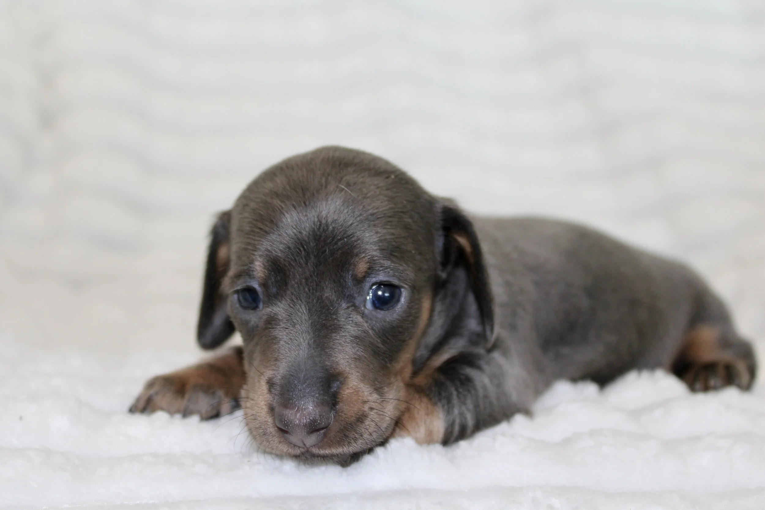 IMG_9722.JPG