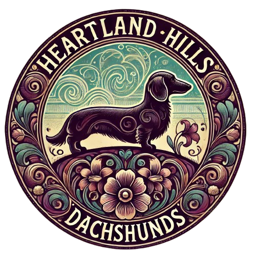 Heartland Hills Dachshunds