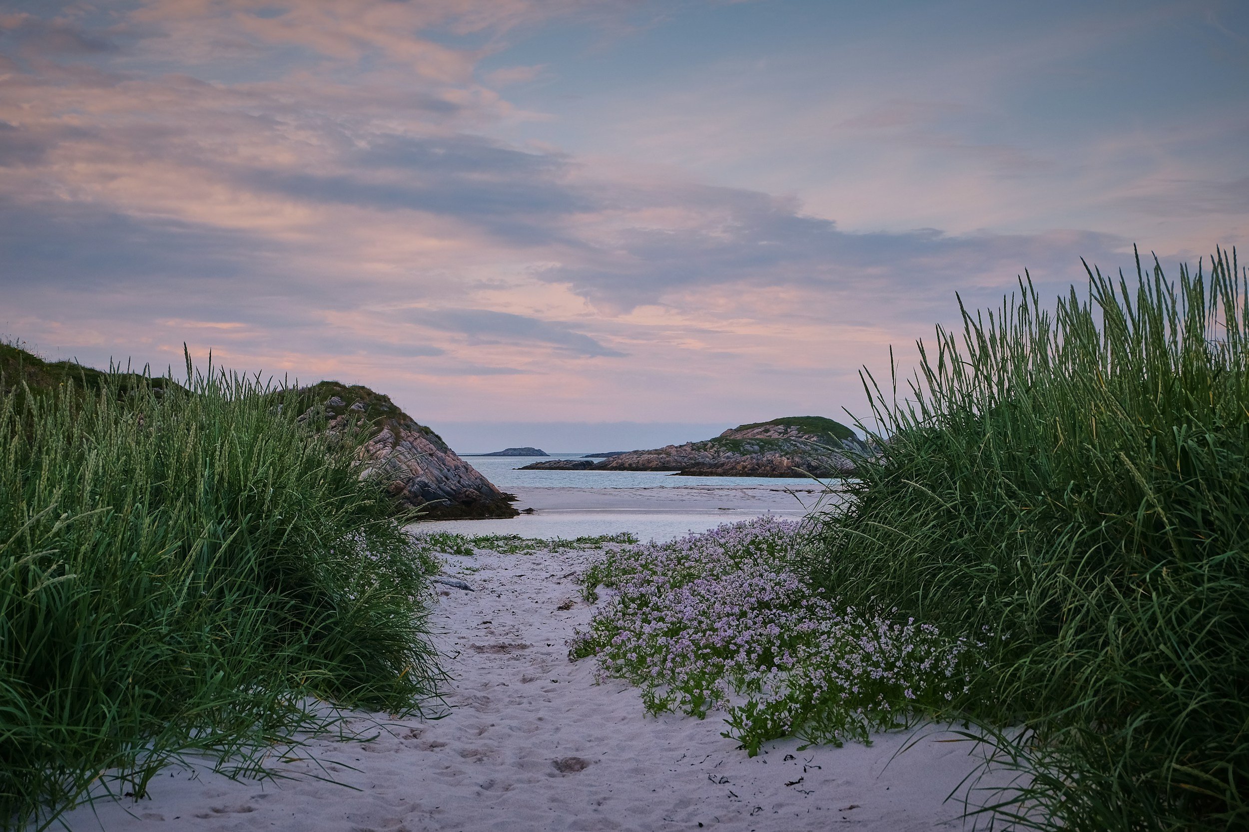 Norwegian Beach Path | Norwegian Health & Wellness.  A quiet Norwegian shoreline with soft grasses and a sandy path leading to the sea. A calm, Scandinavian landscape reflecting the grounding, nature‑based approach of Norwegian Health & Wellness and