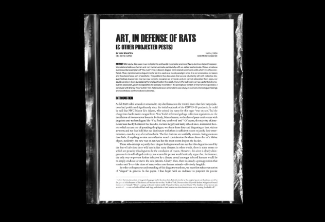 Art, In Defense of Rats
