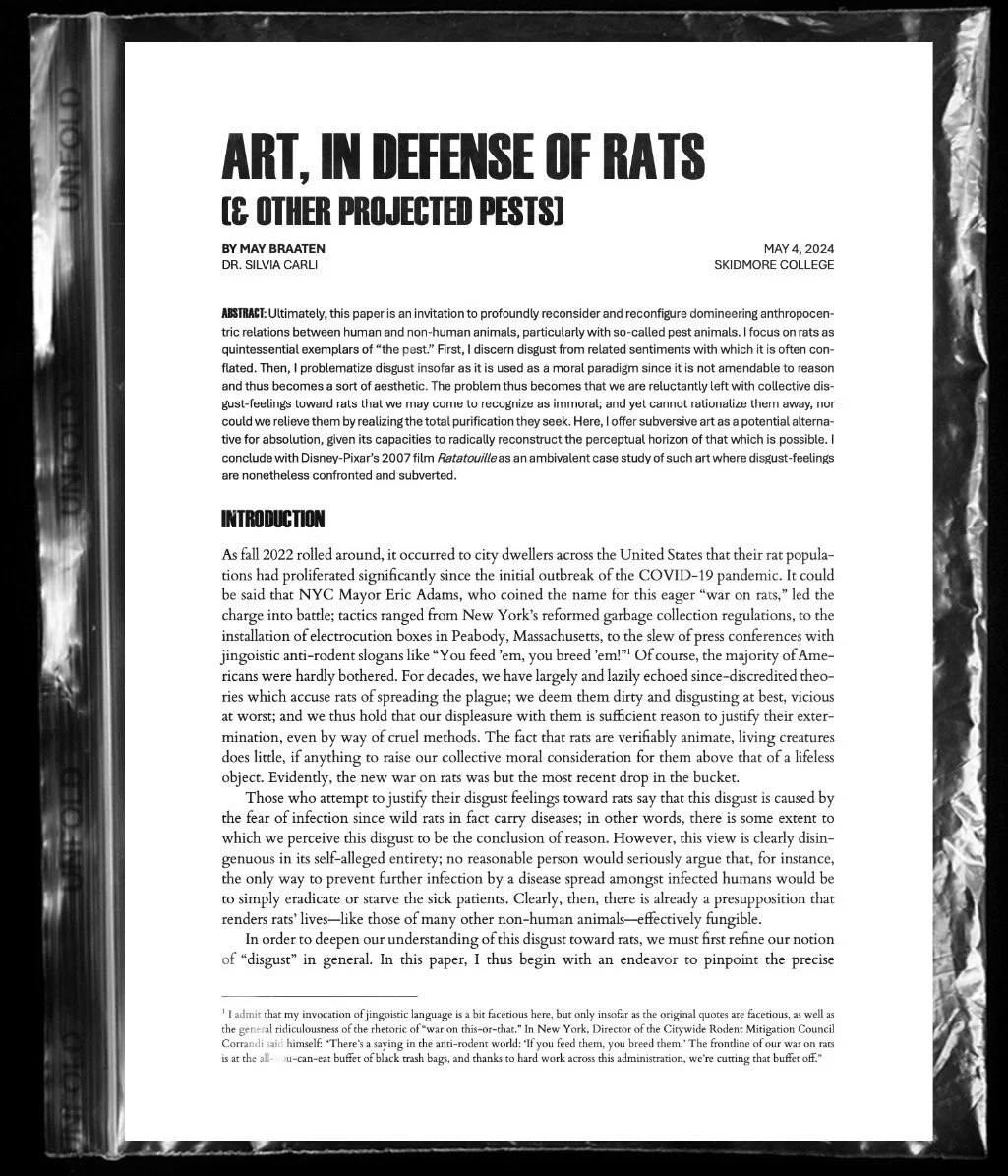 Academic poster titled 'Art, in defense of rats (& other projected pests)' presented at Skidmore College, by May Braaten, with Dr. Silvia Carli, dated May 4, 2024. The poster discusses the relationship between humans and rats, challenging disgust towards them, and references the film 'Ratatouille'.