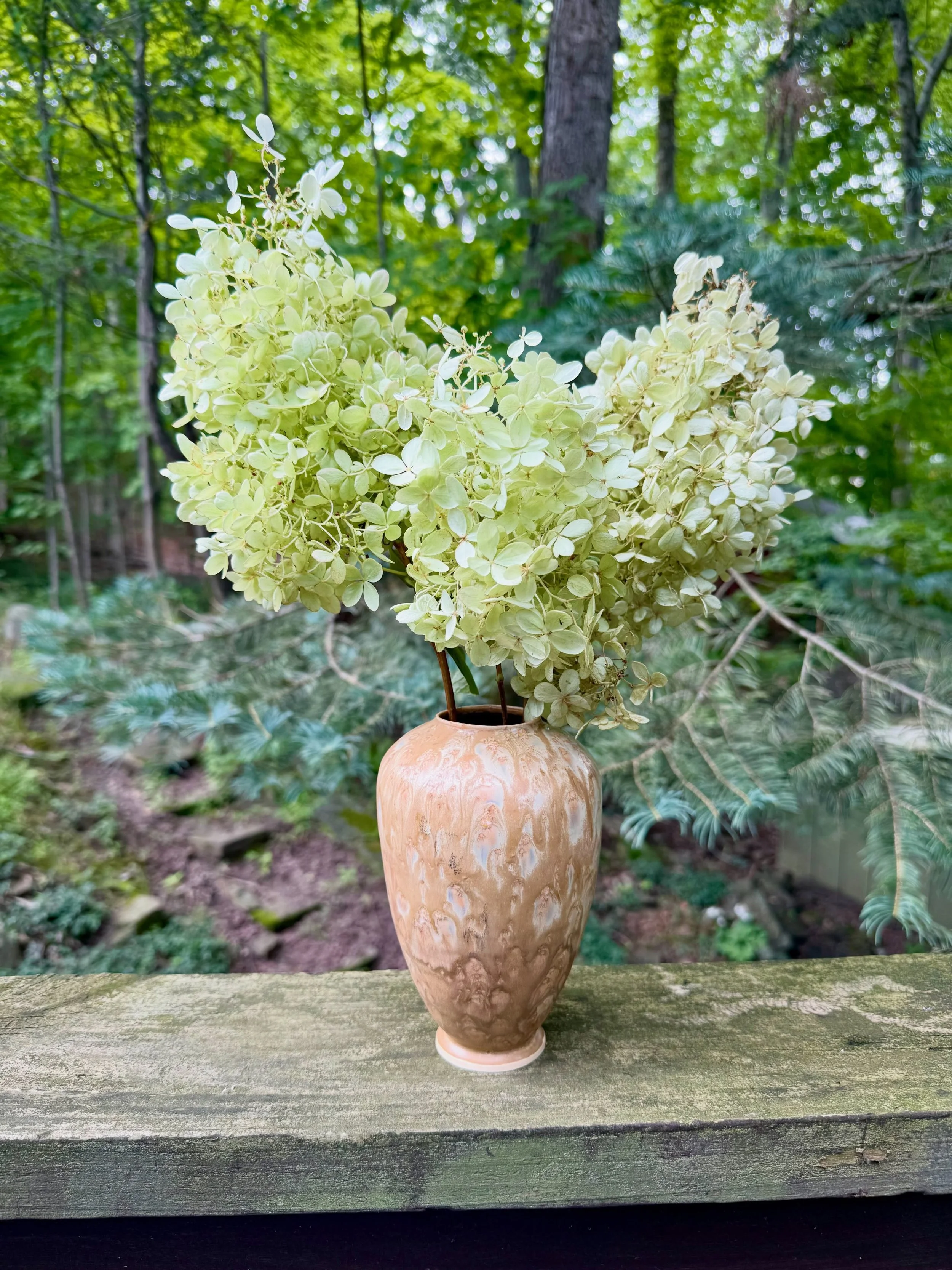 I&rsquo;m so grateful for the pottery community at @jerseyclaysociety - it is truly a collective that feeds my soul. Many thanks @tarynmakesthings for sharing your beautiful hydrangea blooms - it made my day ❤️❤️❤️