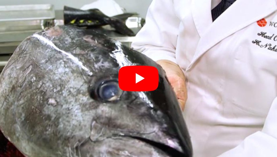 [Insider Food] Bluefin Tuna Eyeballs