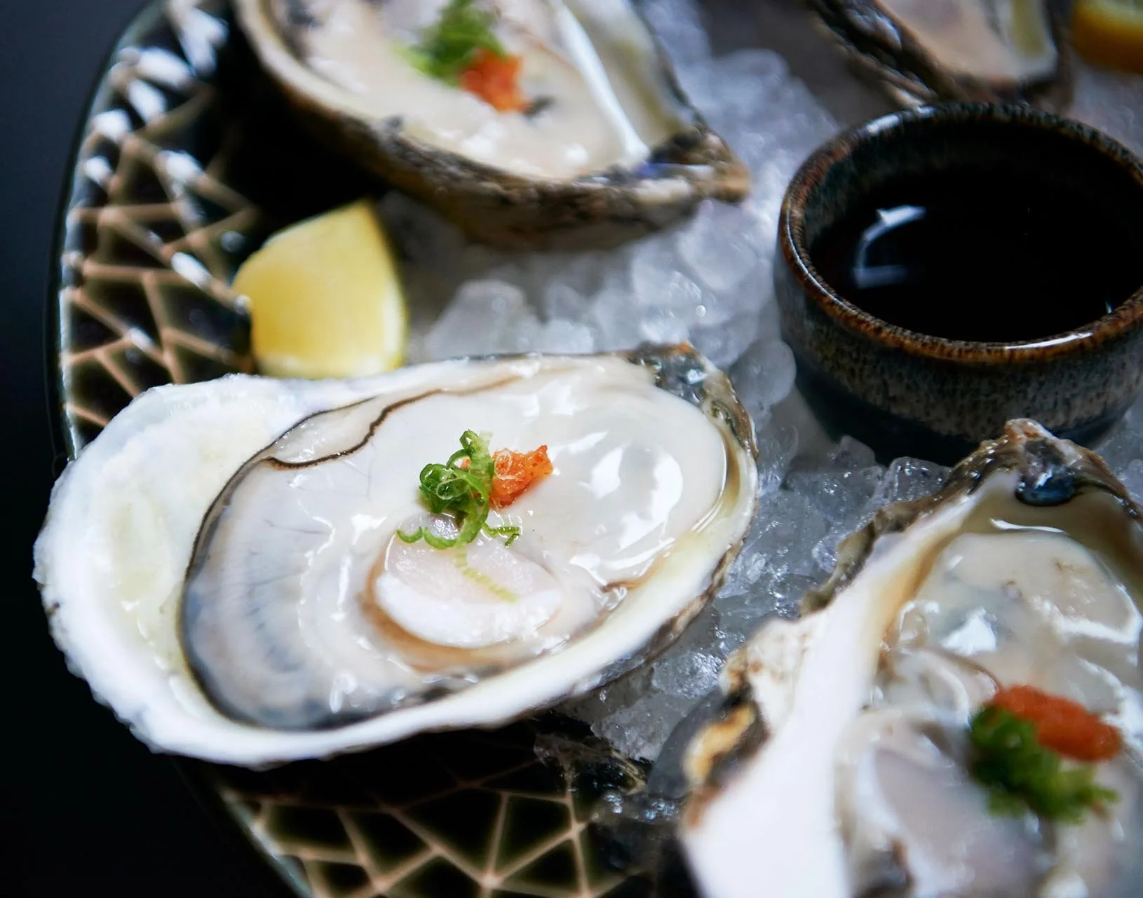 wokuni-top-gallery-oyster.jpg