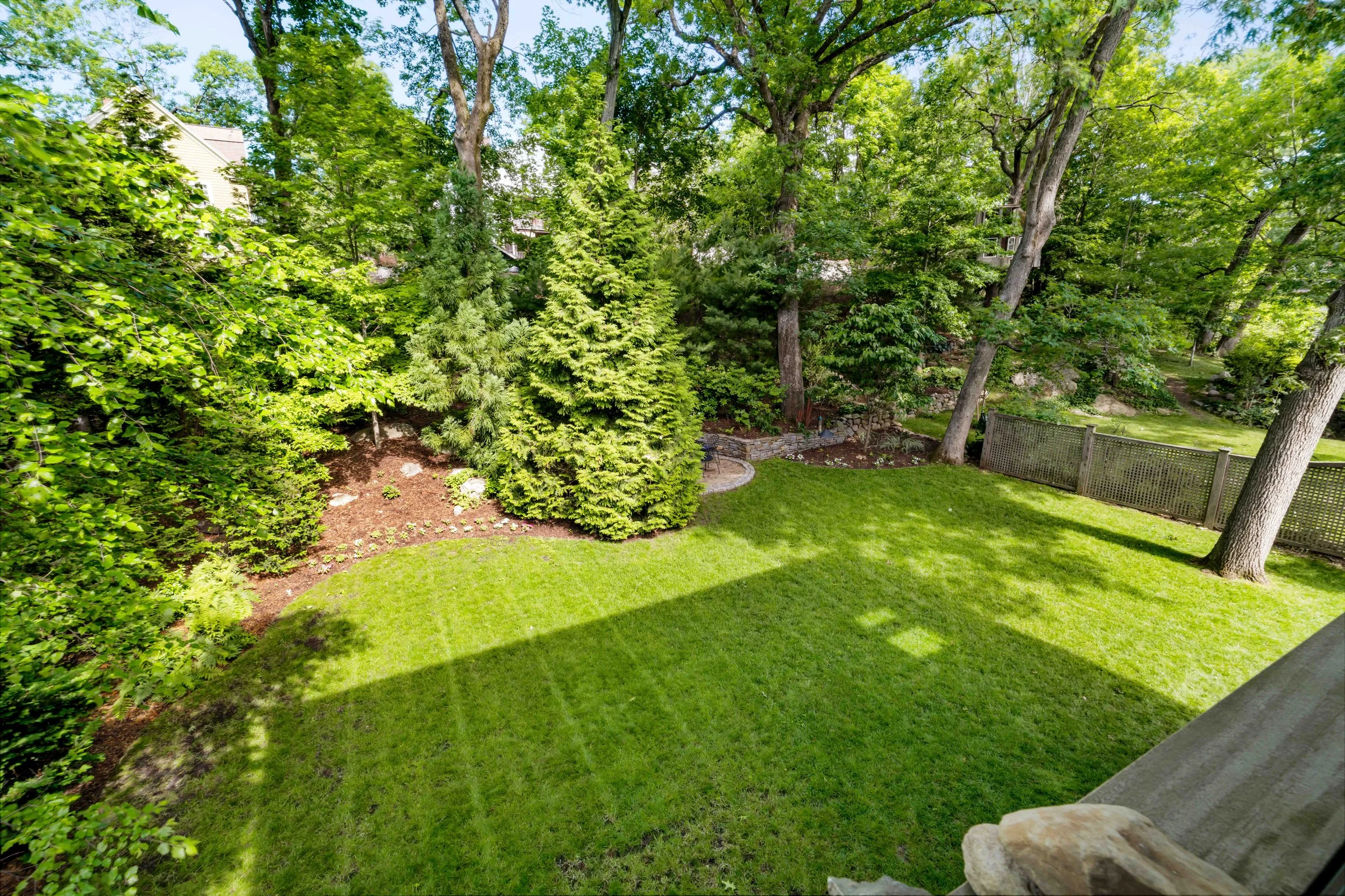 Treehouse-0985594.jpg