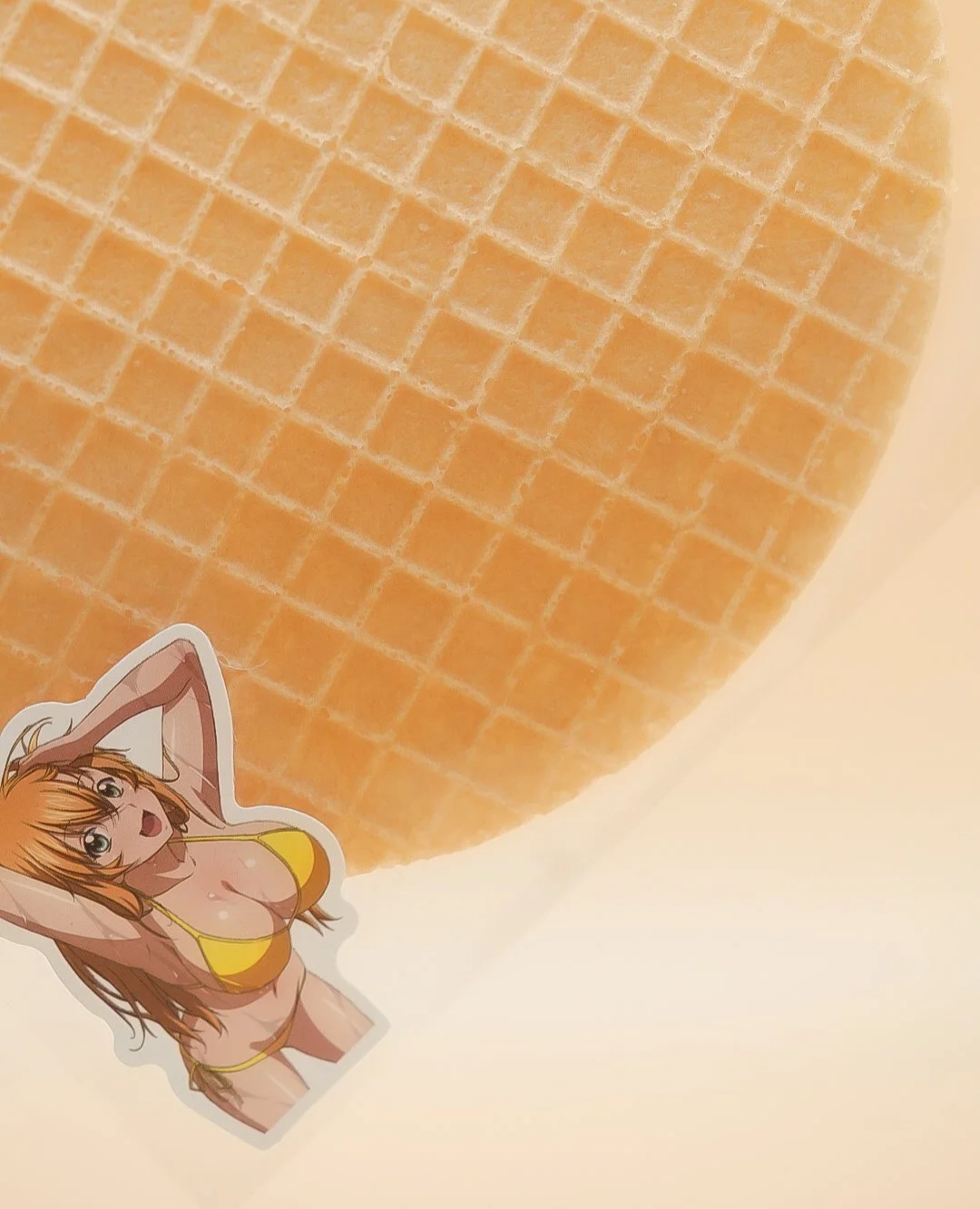 DSC03450.png