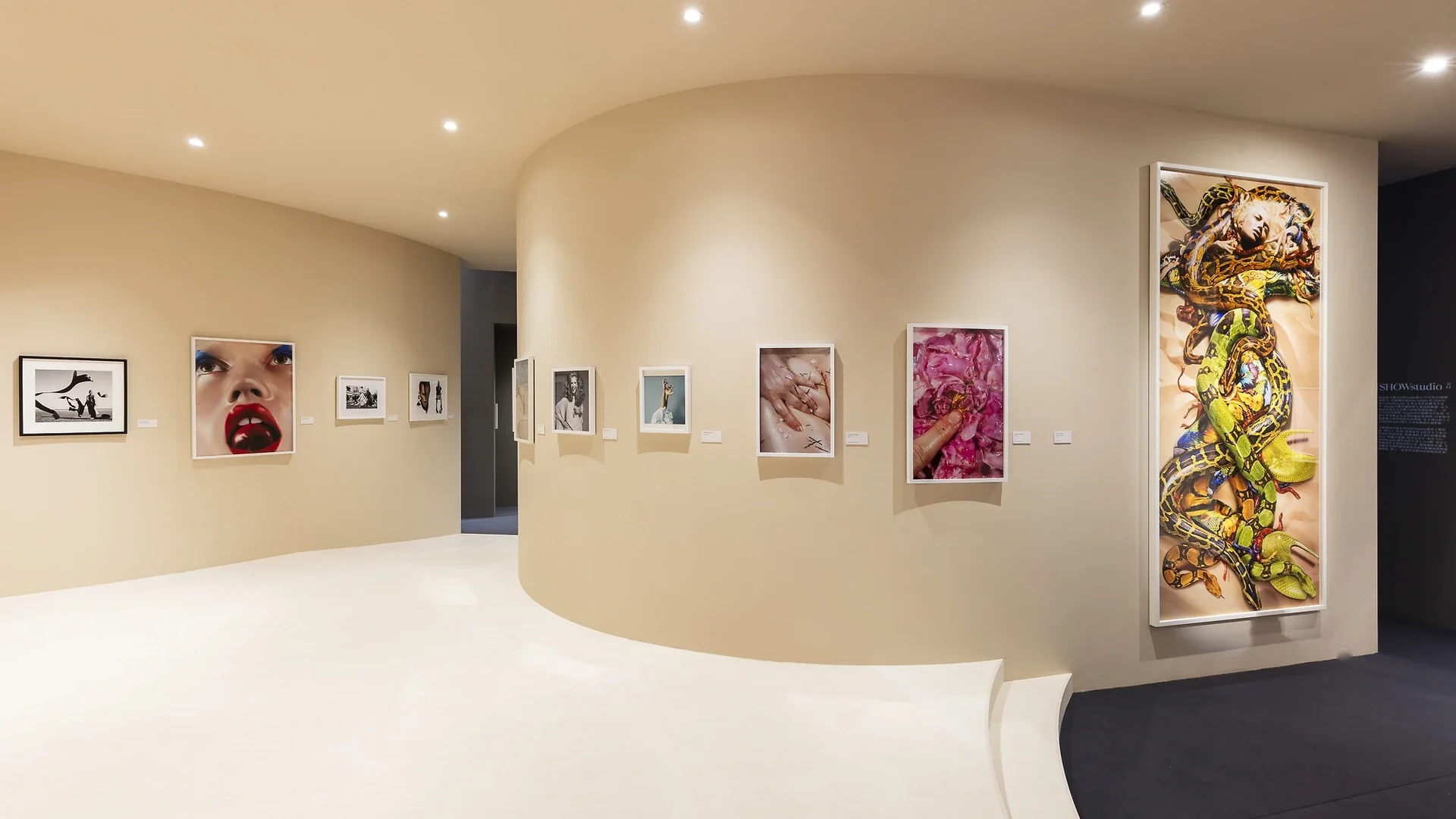 Gallery with a beige curved wall displaying several framed photographs, including close-up shots of hands, a child's face, and a person in black and white, with a colorful artwork of a woman and snakes on the right.