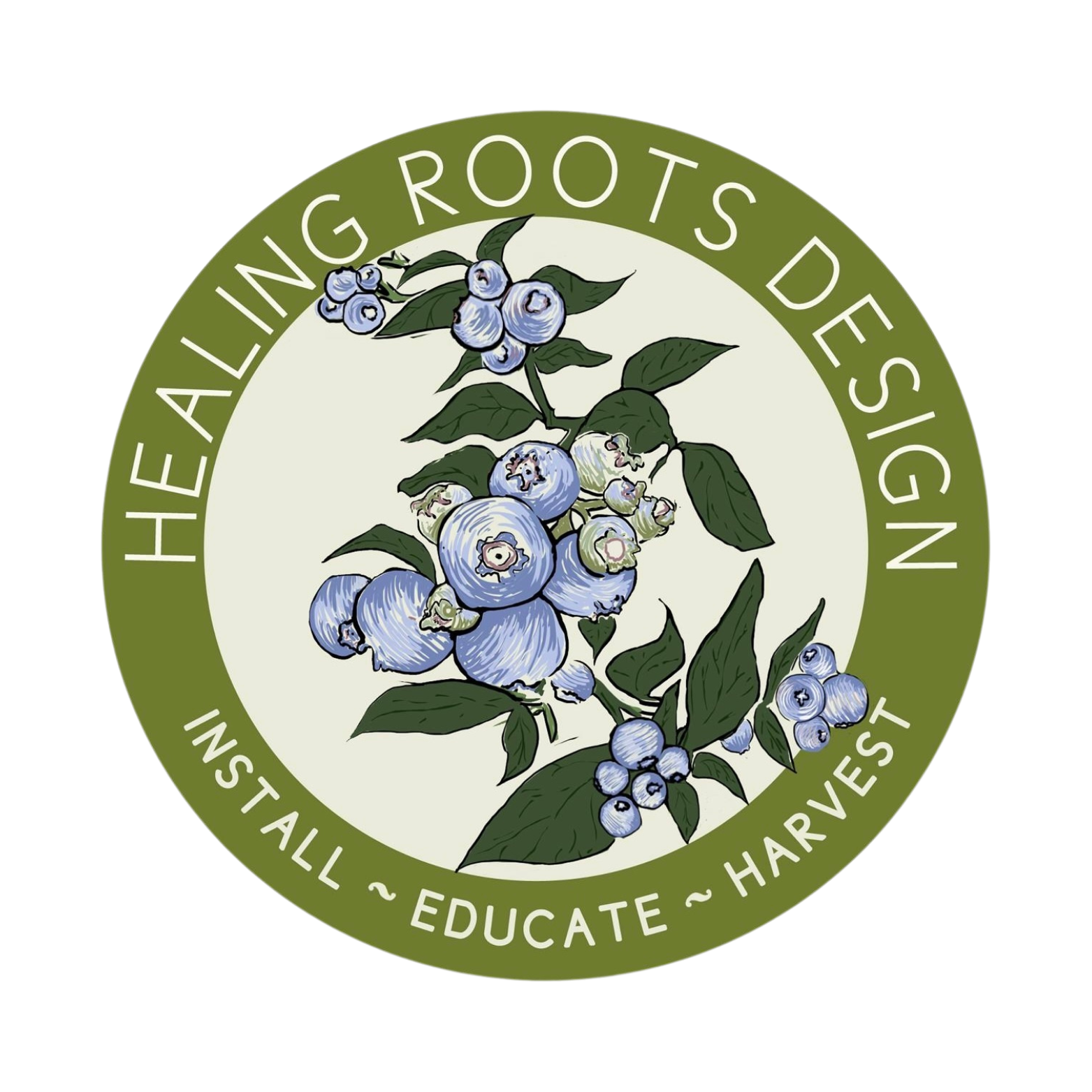 Logo of natural landscaping company and local small business, Healing Roots Design, featuring a cluster of blueberries, green leaves, surrounded by a green circle with words 'Healing Roots Design, Install, Educate, Harvest'.