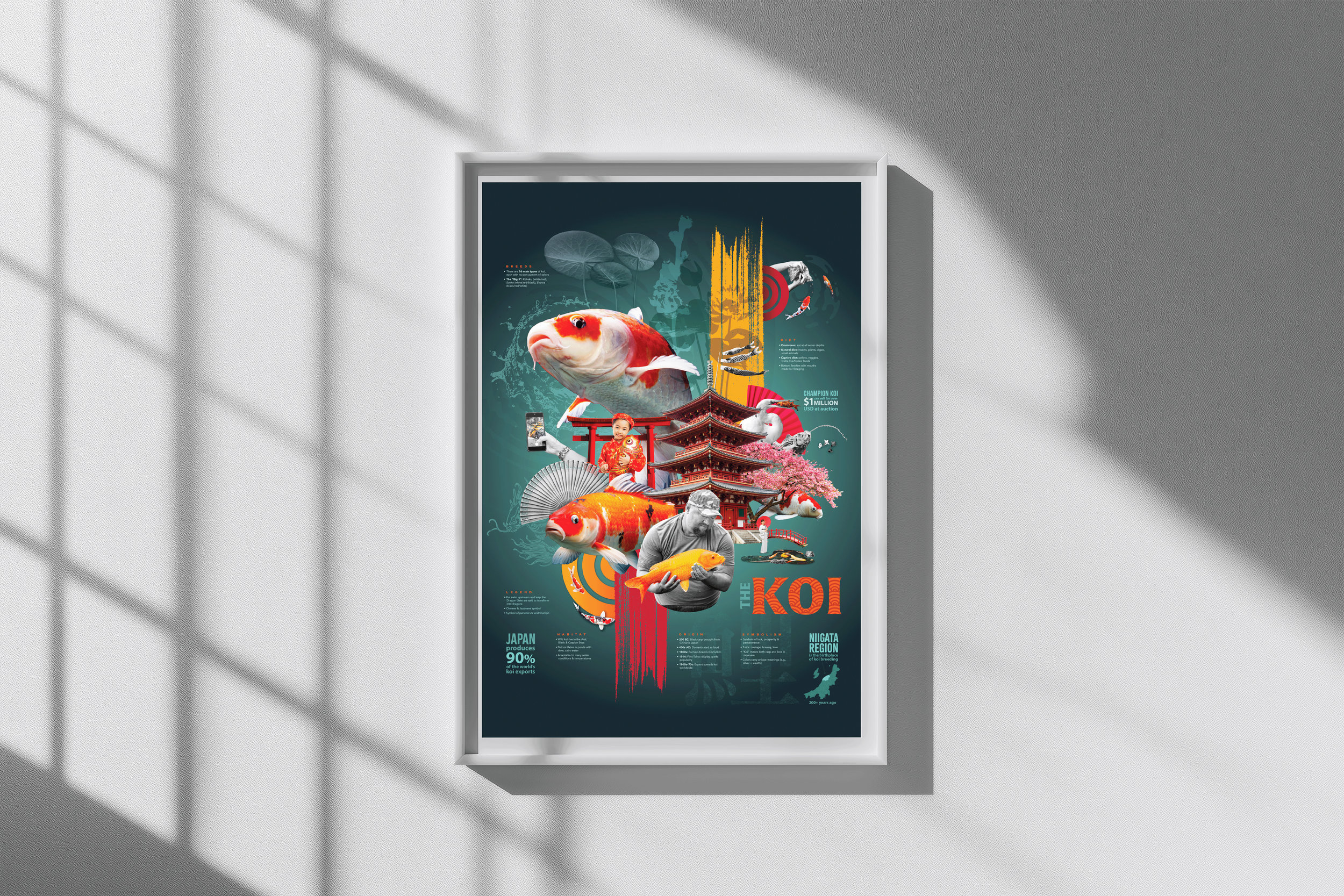 The Koi