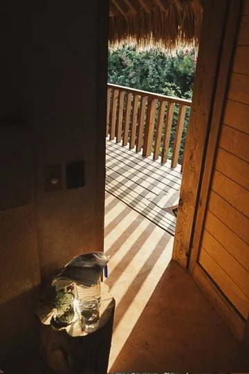 View from inside a room onto a wooden balcony with a thatched roof, overlooking a lush green forest.