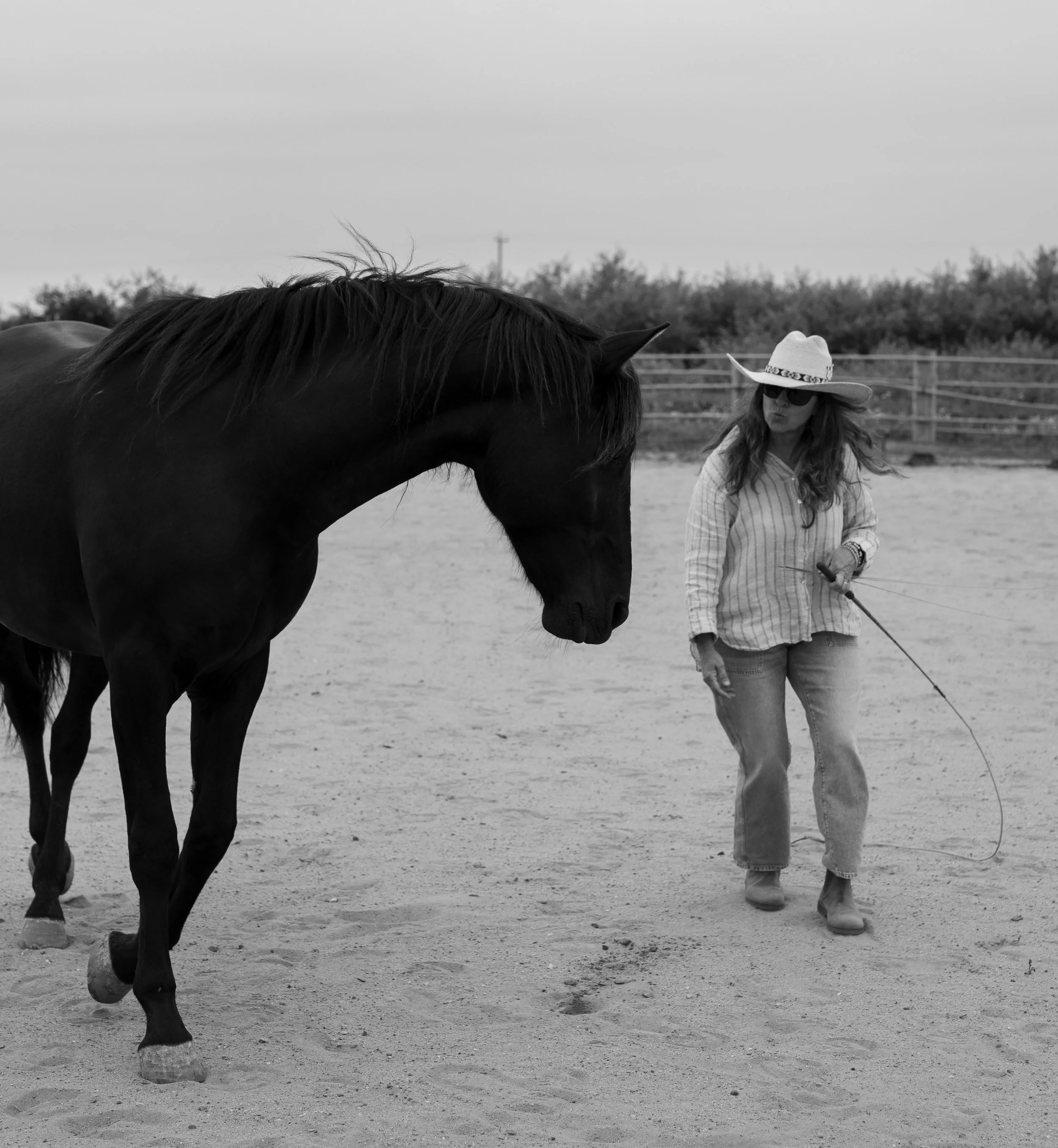 Exercise: Engaging in Presence — The Round Pen Practice