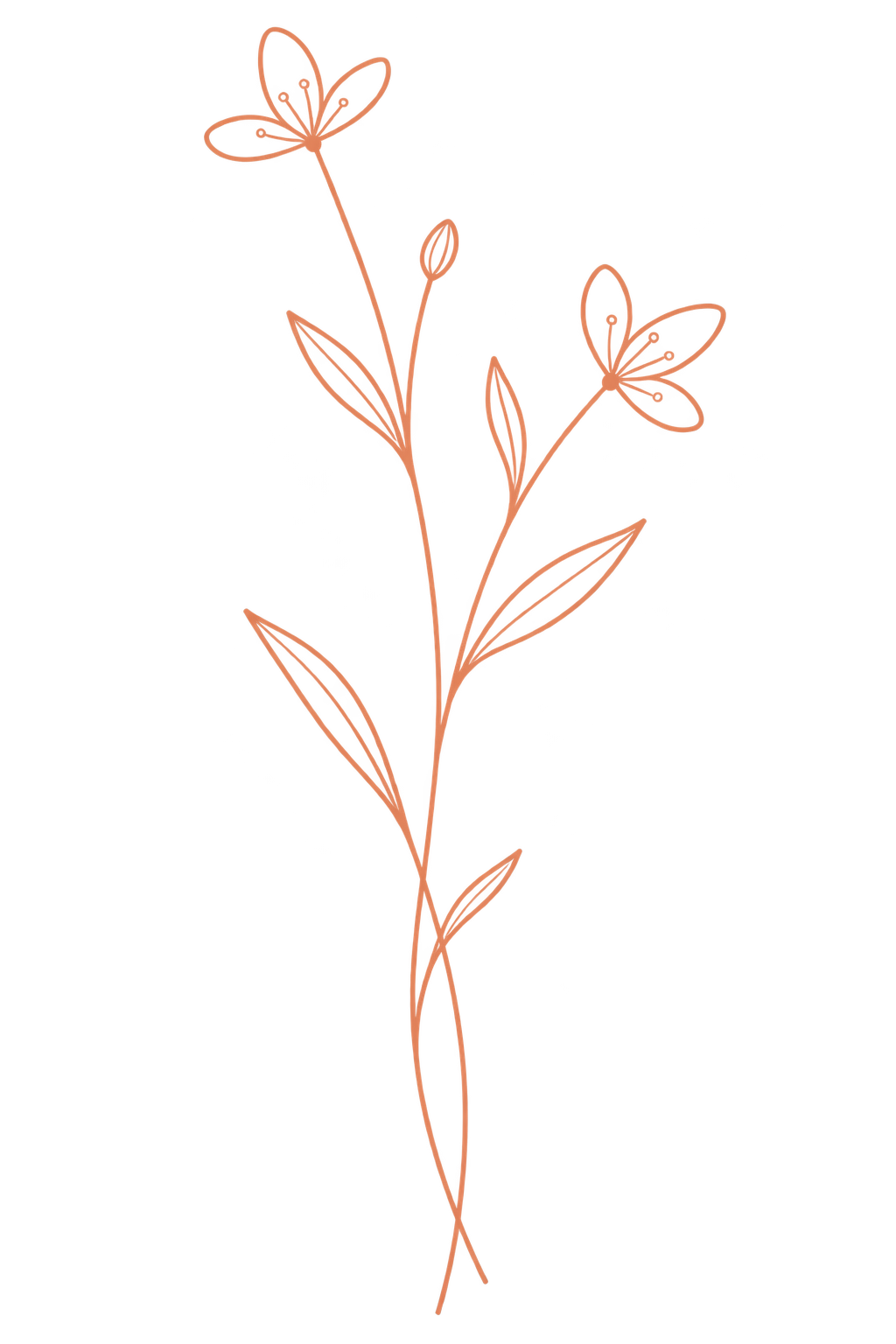 Dessin minimaliste d'une plante avec deux fleurs en forme de papillon, des feuilles allongées, de couleur rose sur fond noir.