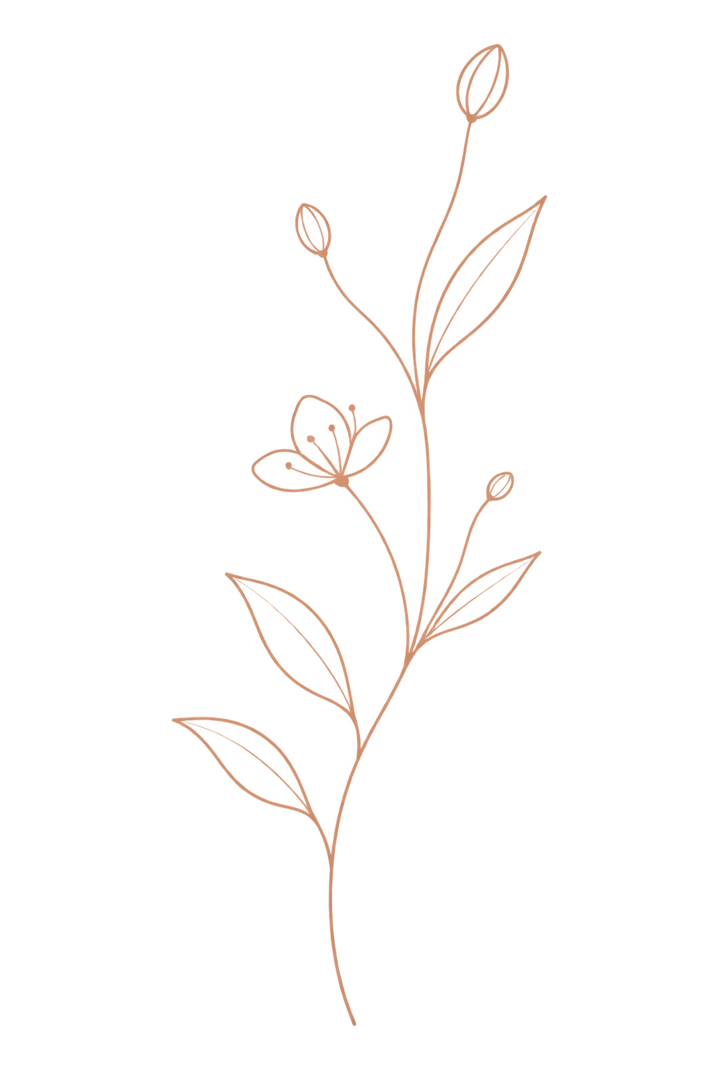 Dessin de branche florale avec deux fleurs en bouton, une fleur en pleine floraison, et une papillon, en couleur marron sur fond noir.