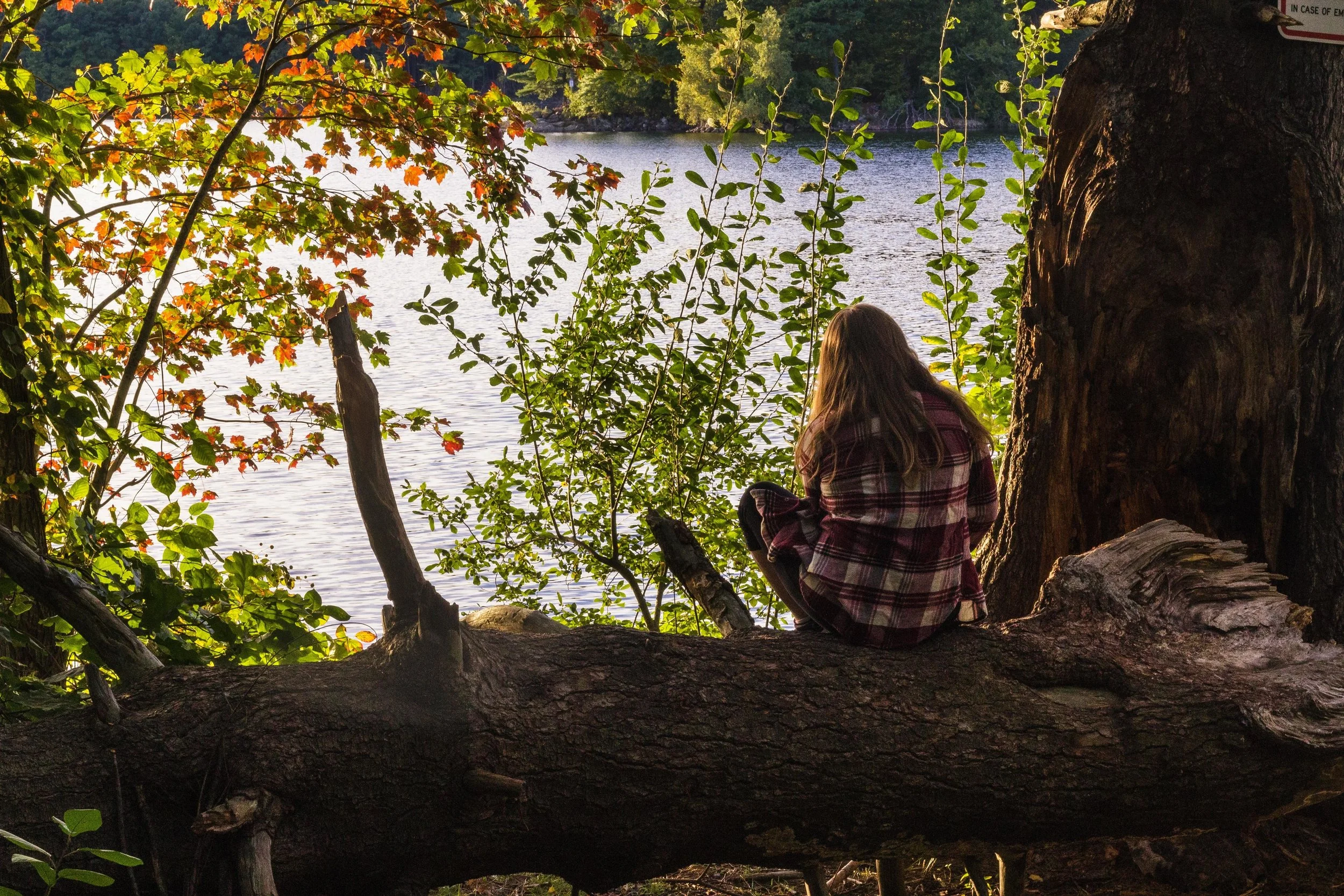 Une jeune femme assise sur une branche d'arbre près d'un lac entouré d'arbres aux feuilles d'automne, en regardant vers l'eau.