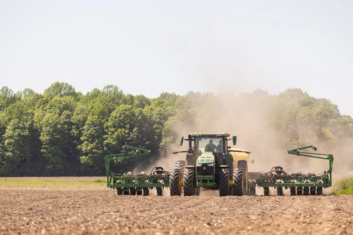 Planting