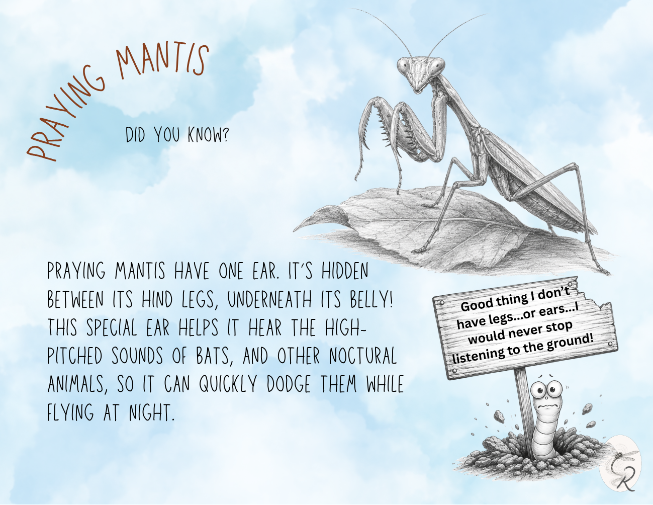 Praying Mantis Fact