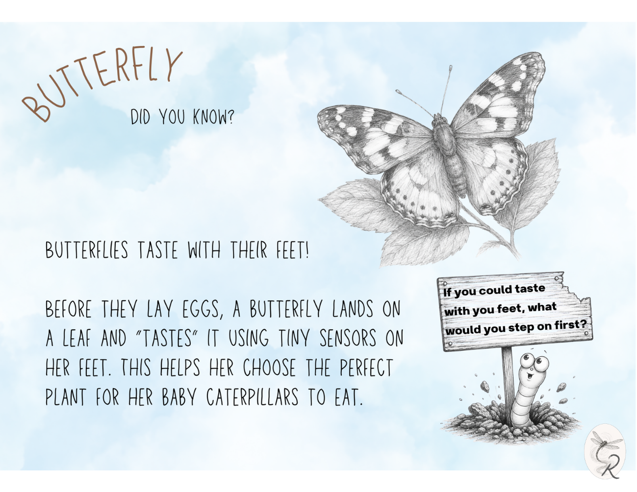 Butterfly Fact