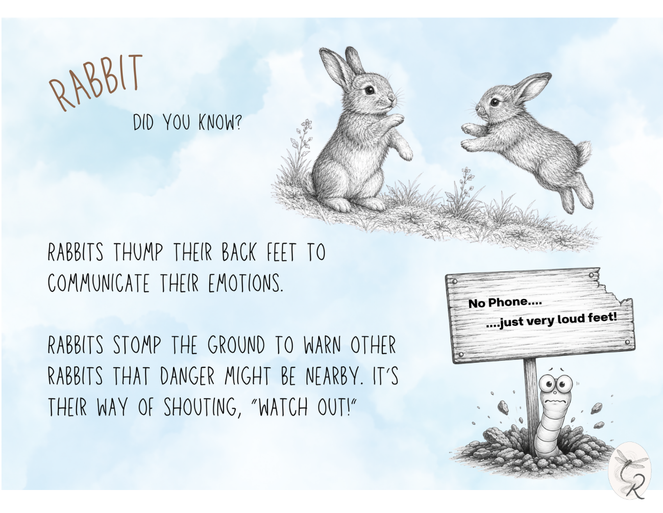 Rabbit Fact