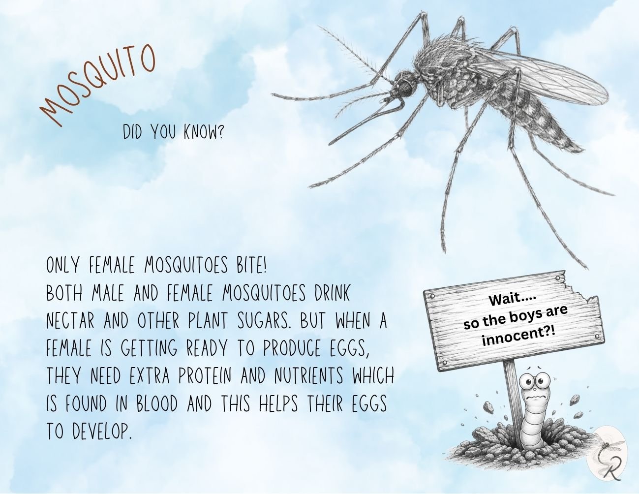 Mosquito Fact