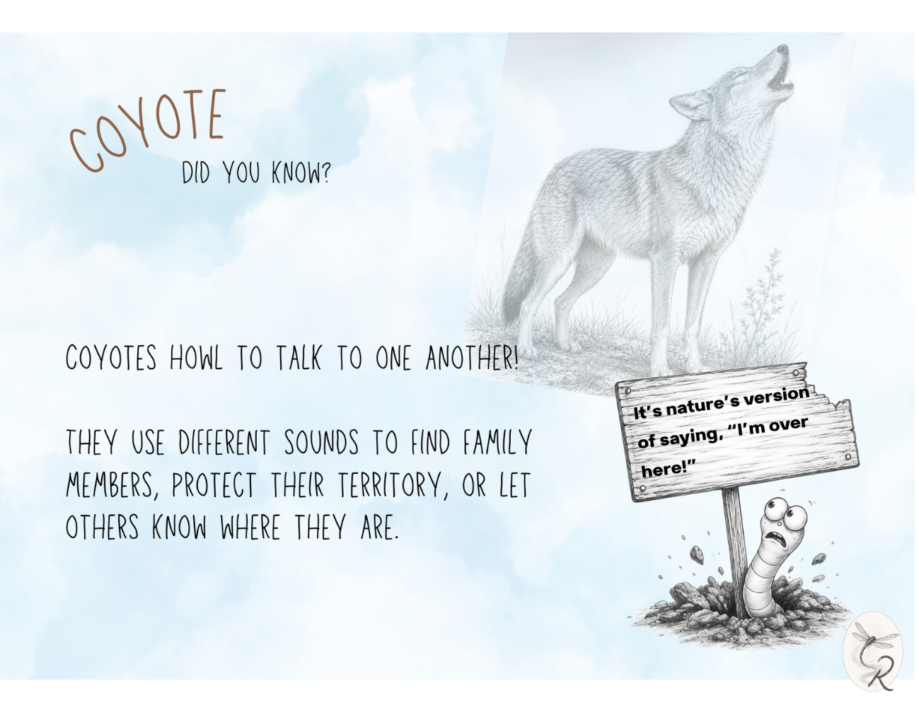 Coyote Fact