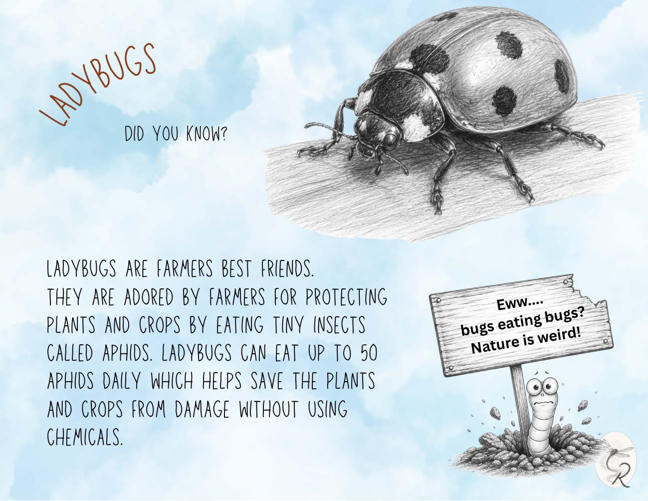 Ladybug Fact