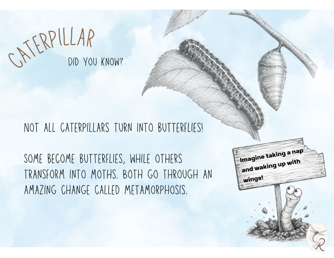 Caterpillar Fact