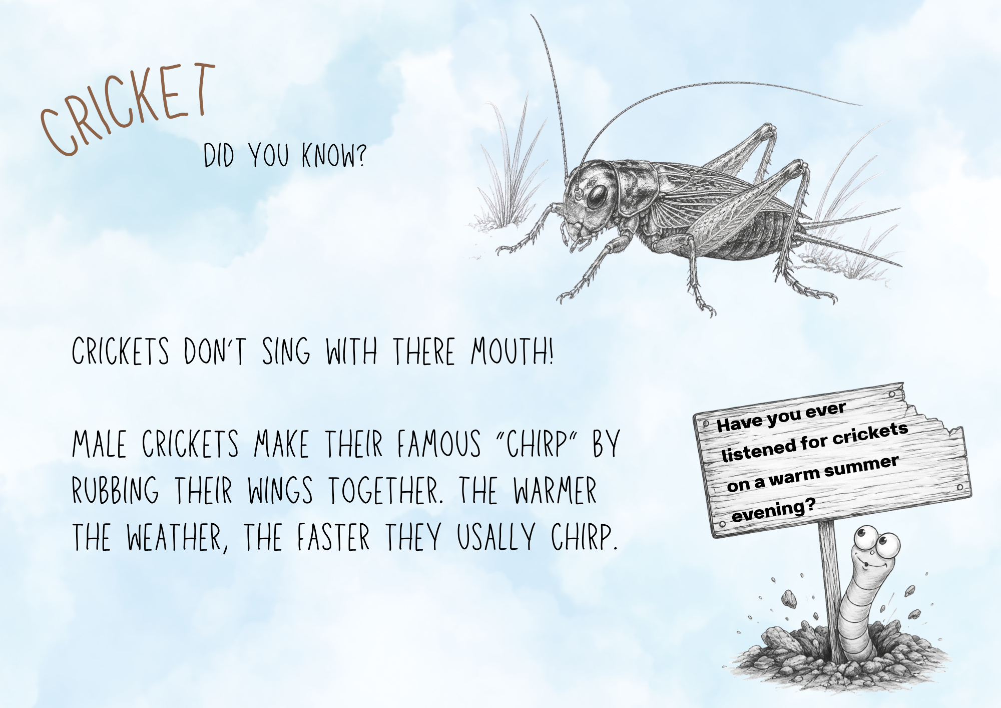 Cricket Fact