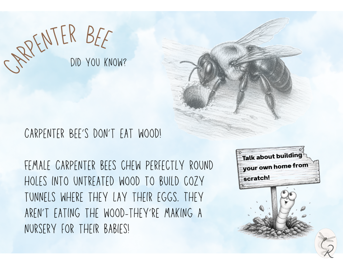 Carpenter Bee Fact
